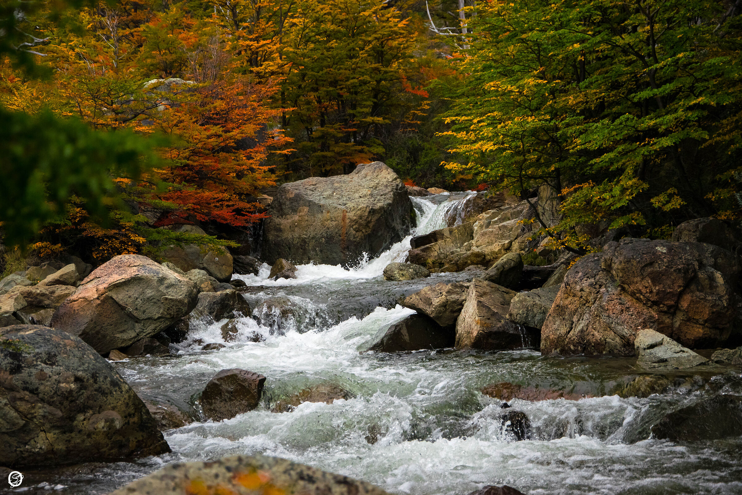 runs autumn at Chalten