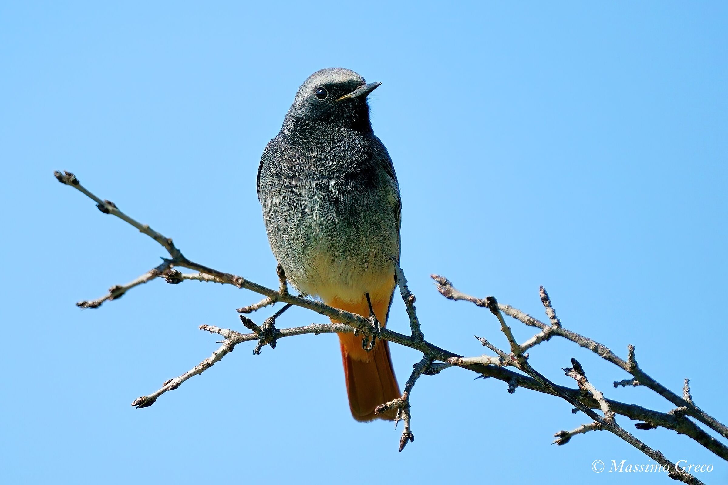 Coirosso fireplace sweep