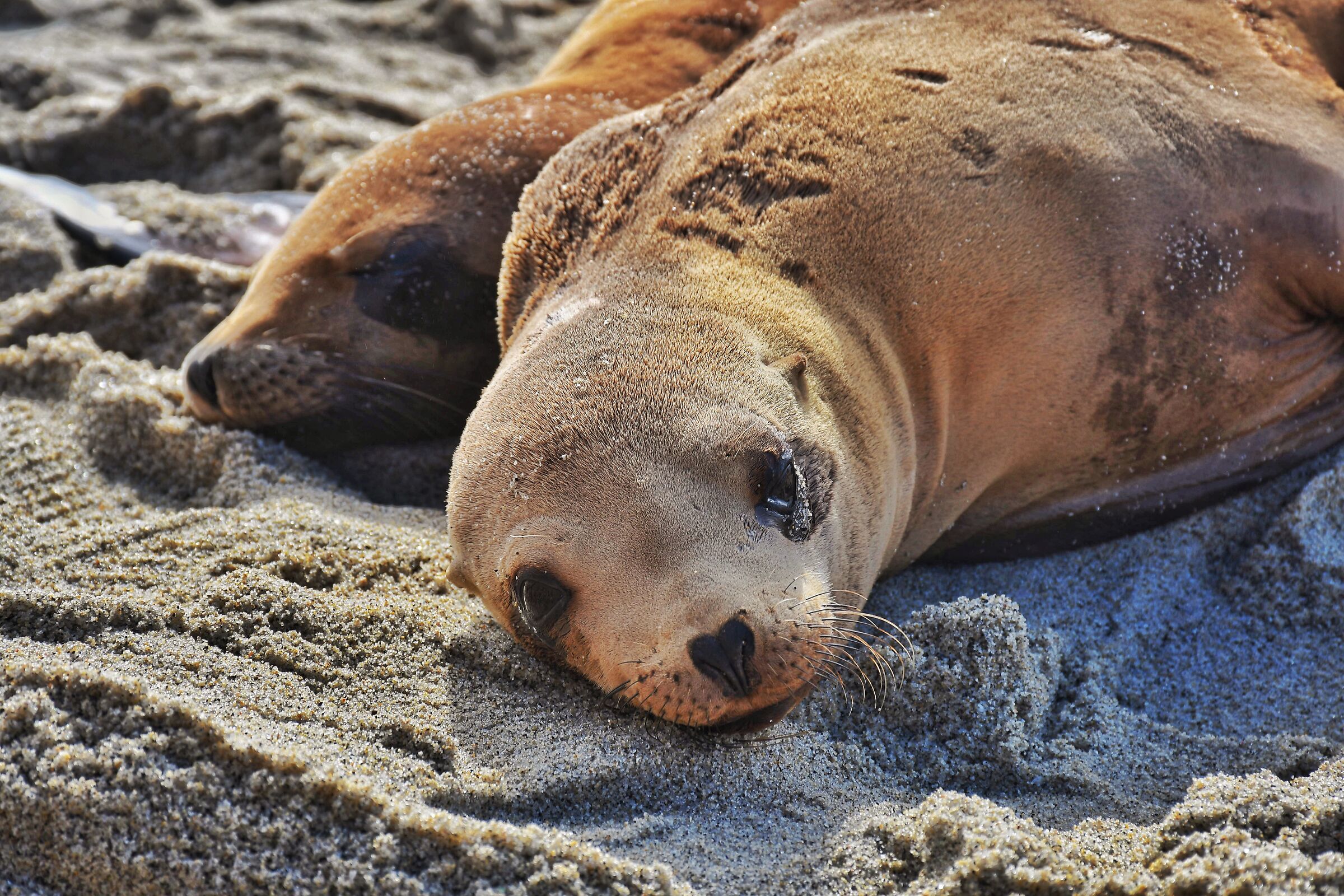 La Jolla, California