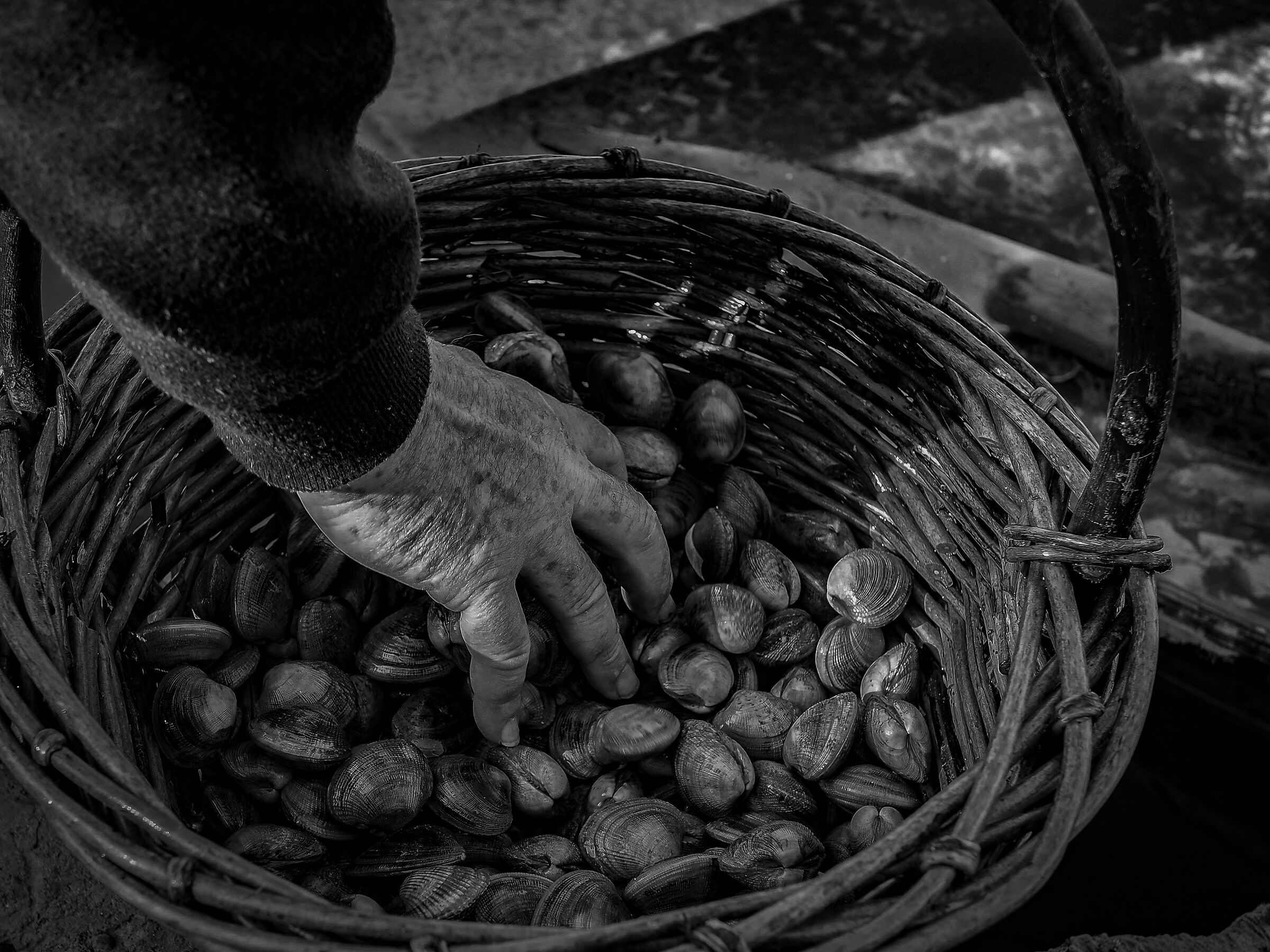 Caparossoli Municipality