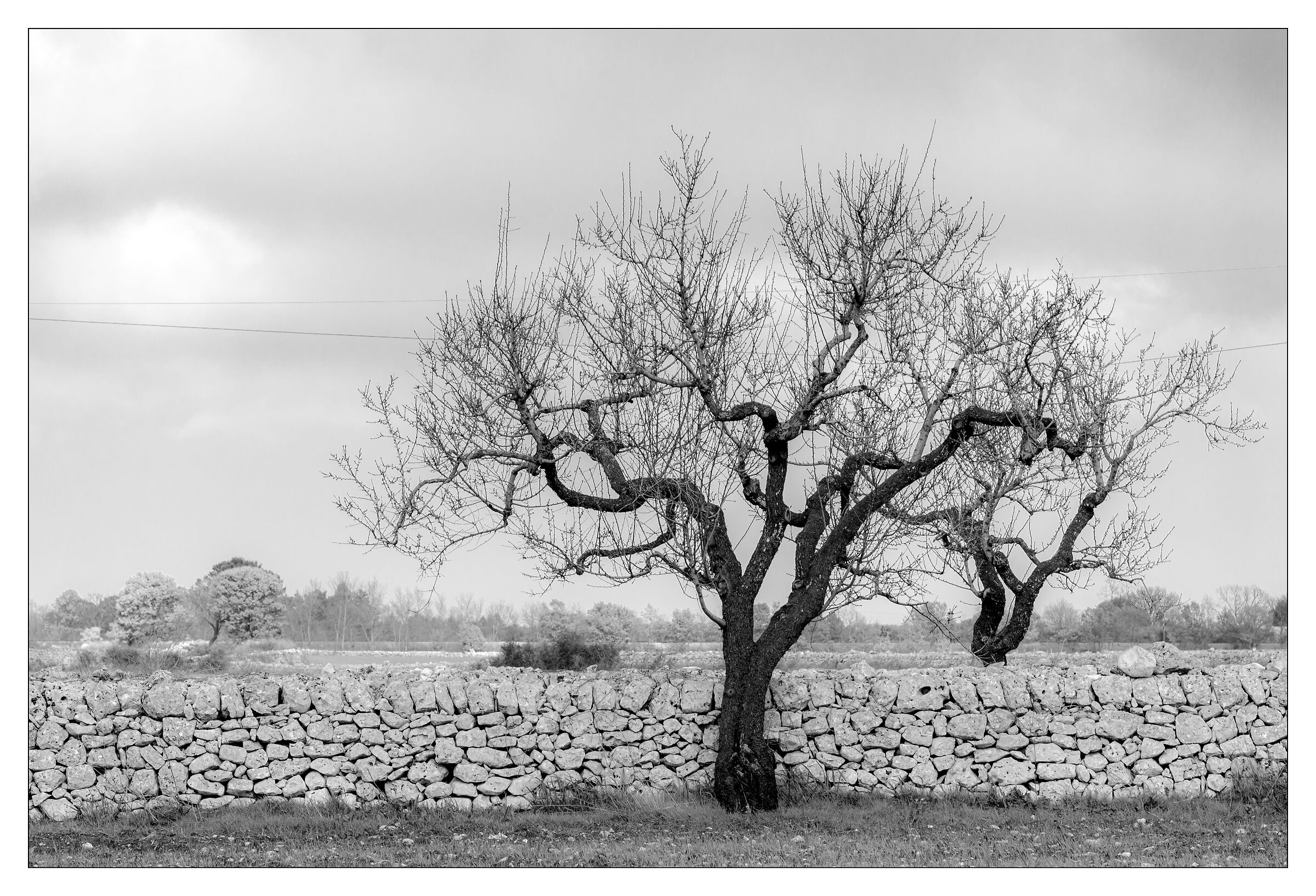 "E hai fatto il mondo"