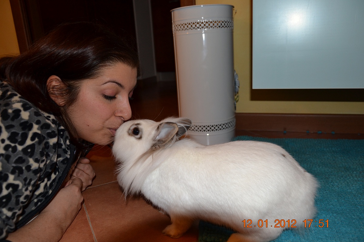 Amore incondizionato II