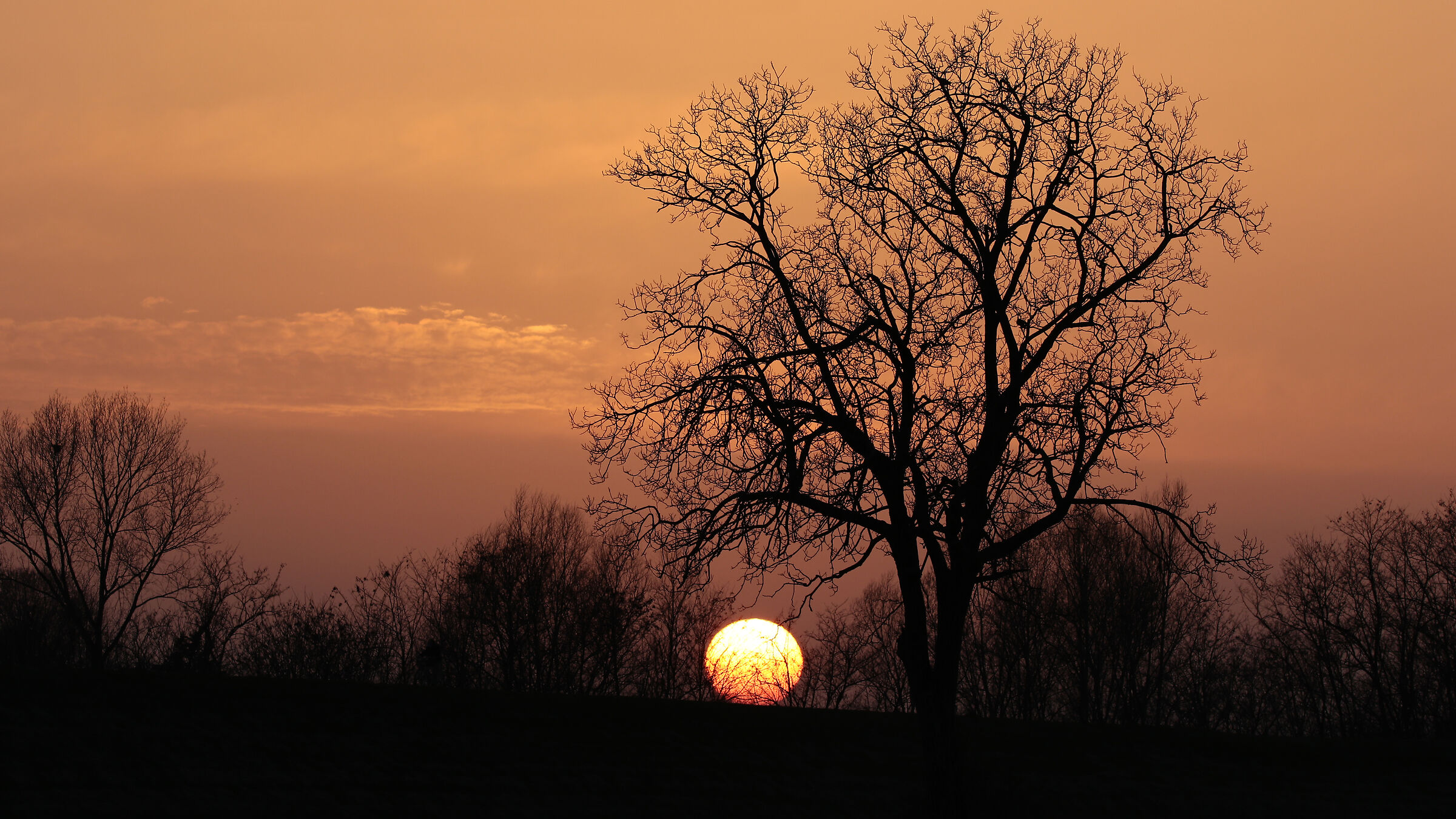 Un tramonto con il Tele