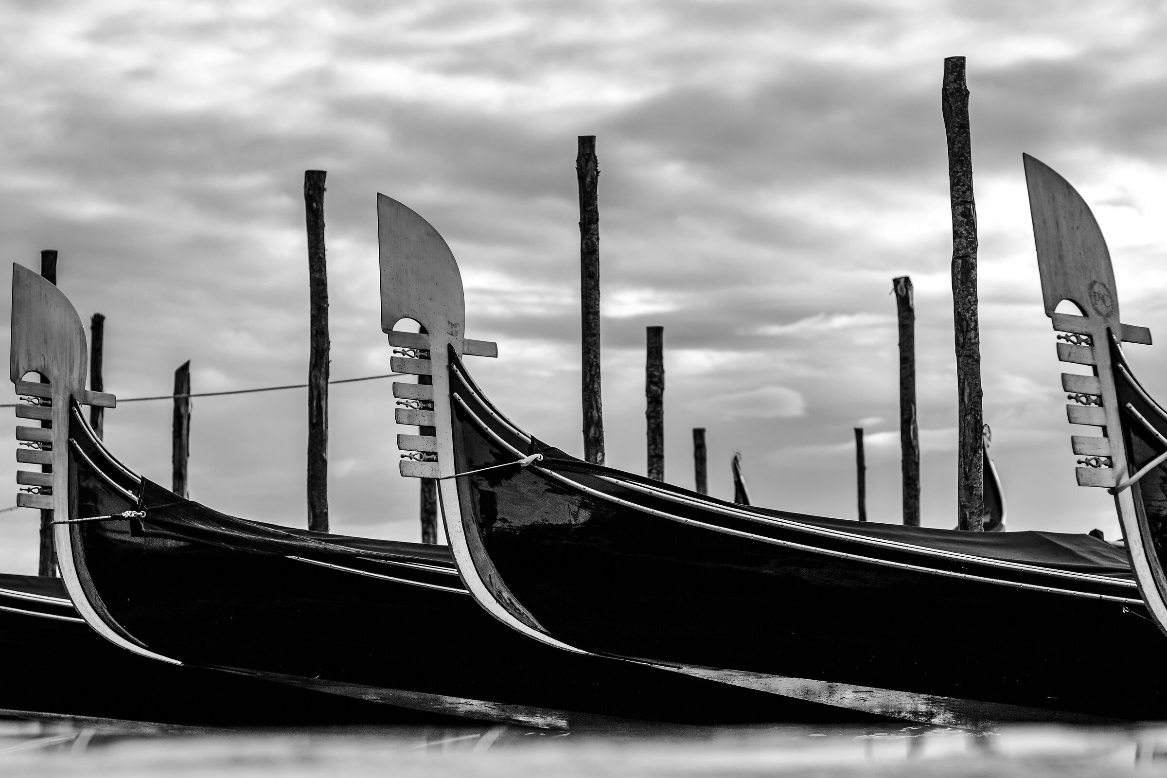 Con le punte verso il cielo