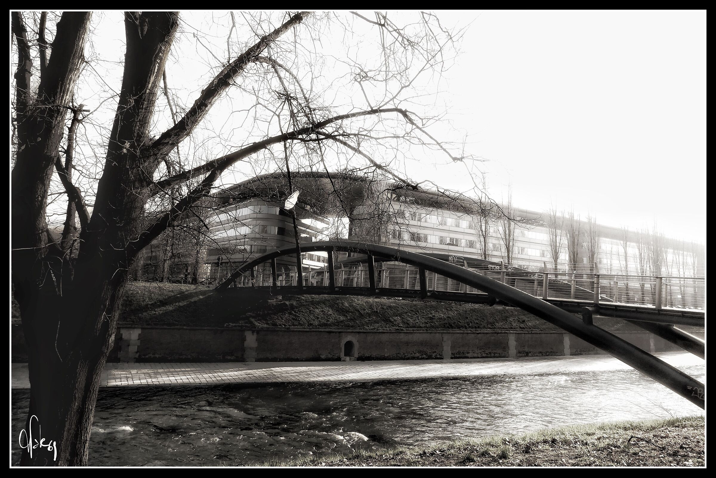 Bridge on the culture