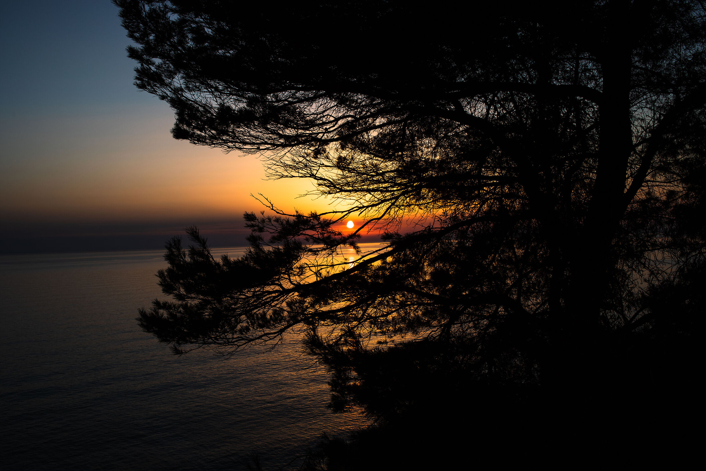 Sunsets