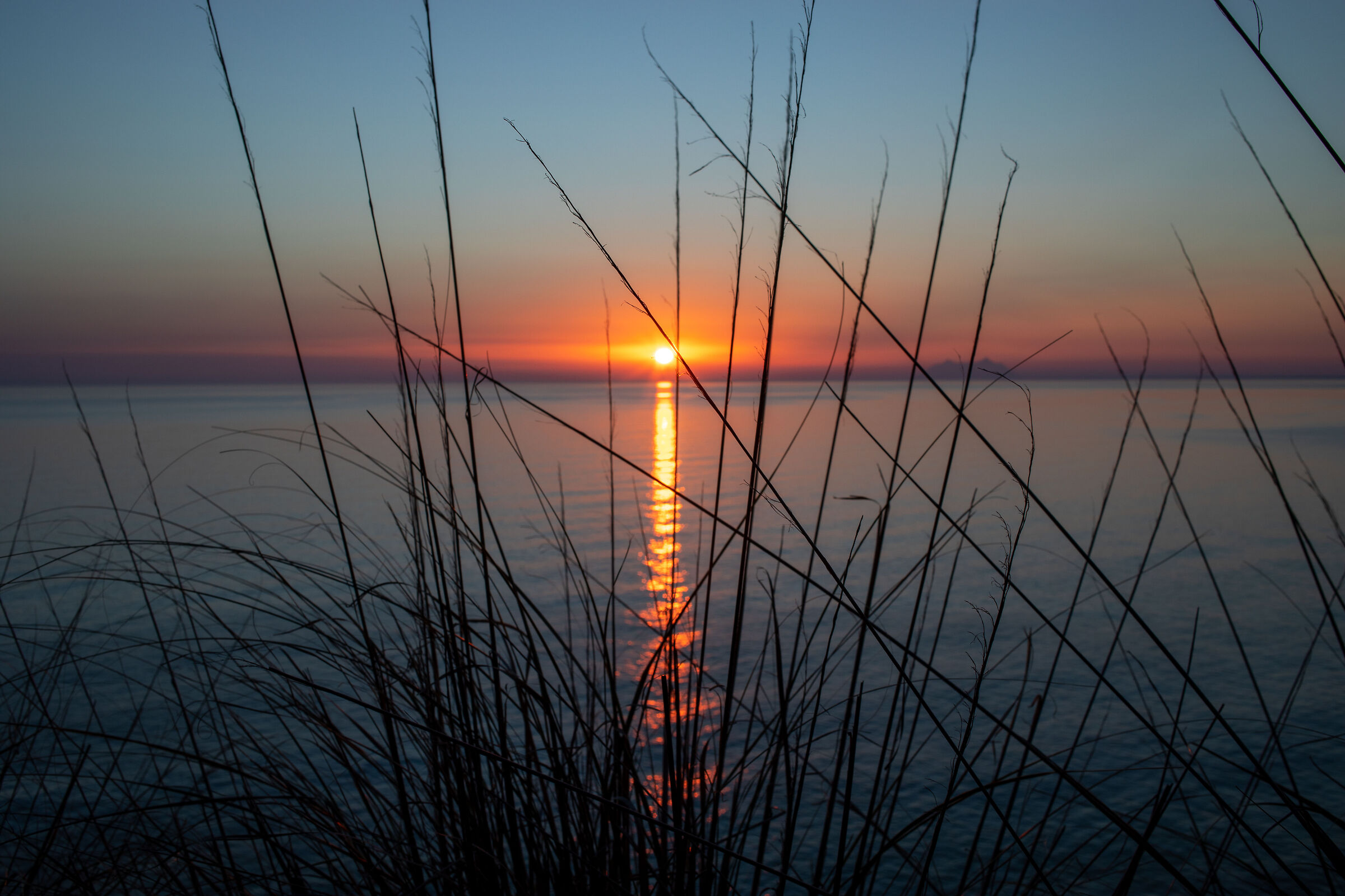 Sunsets