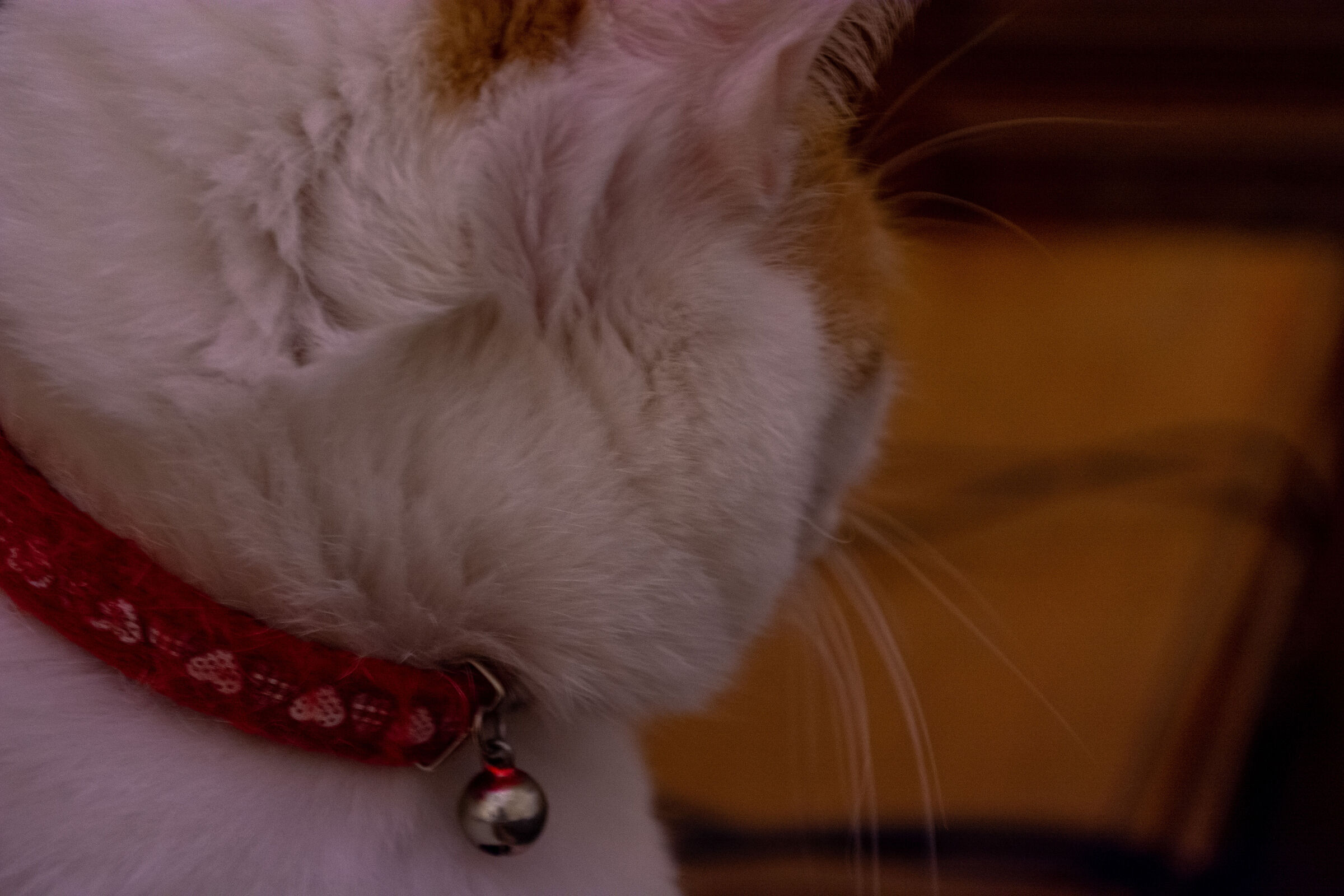 Princess makes the precious