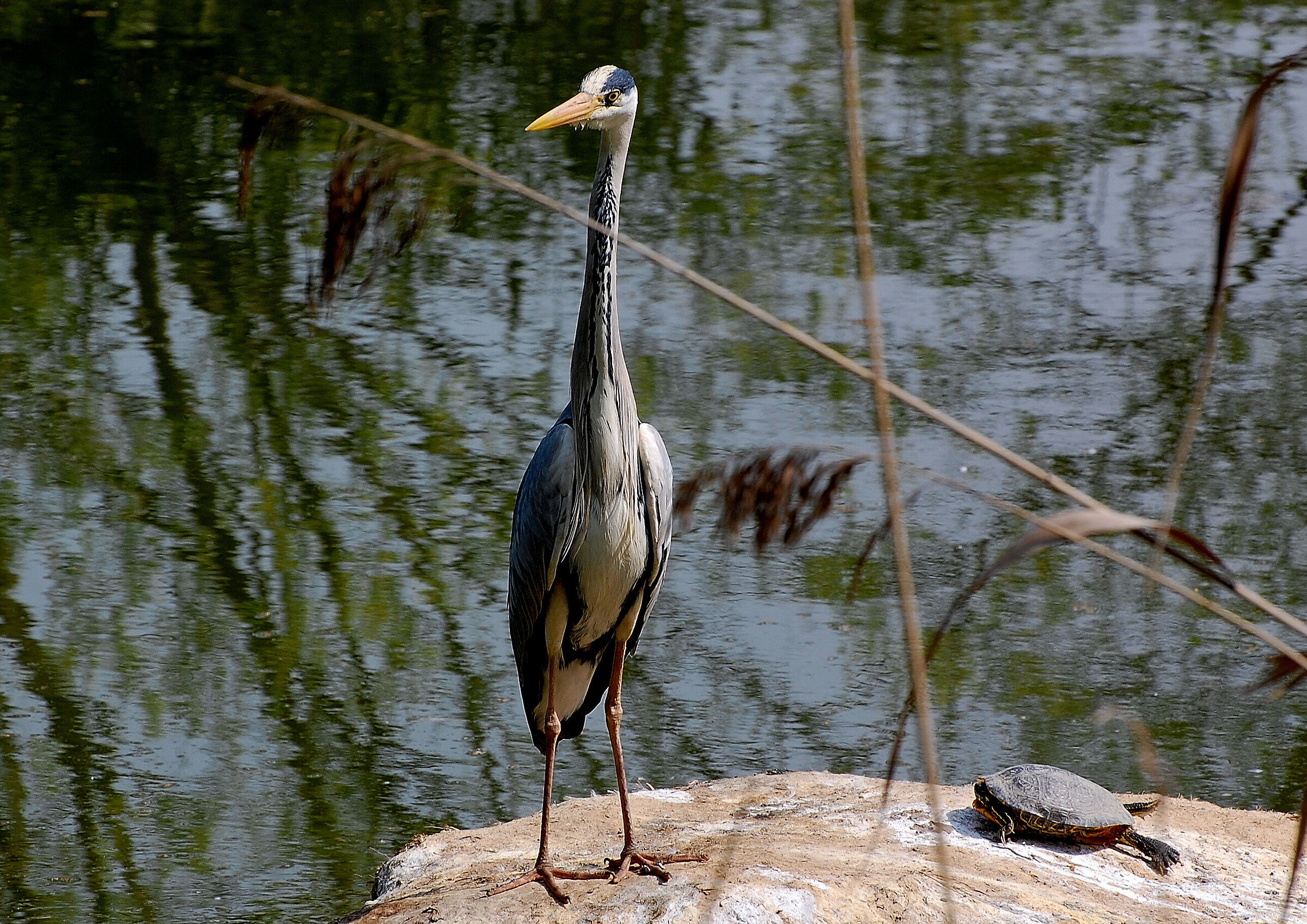 Is it time to arrive?