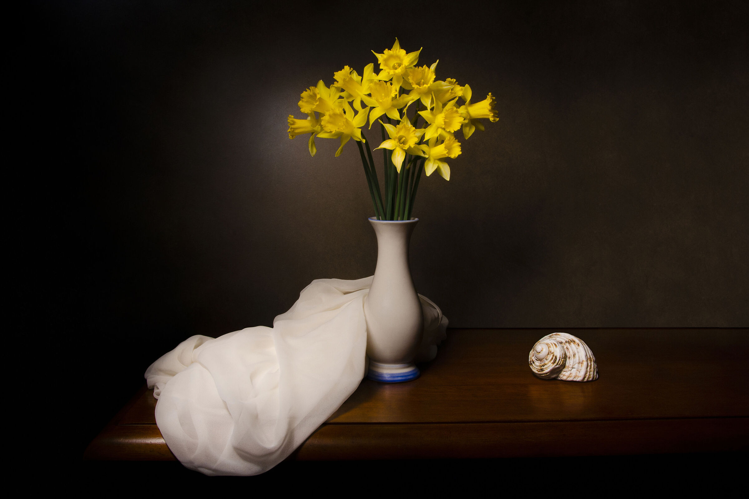 Narcisi e conchiglia.... light painting