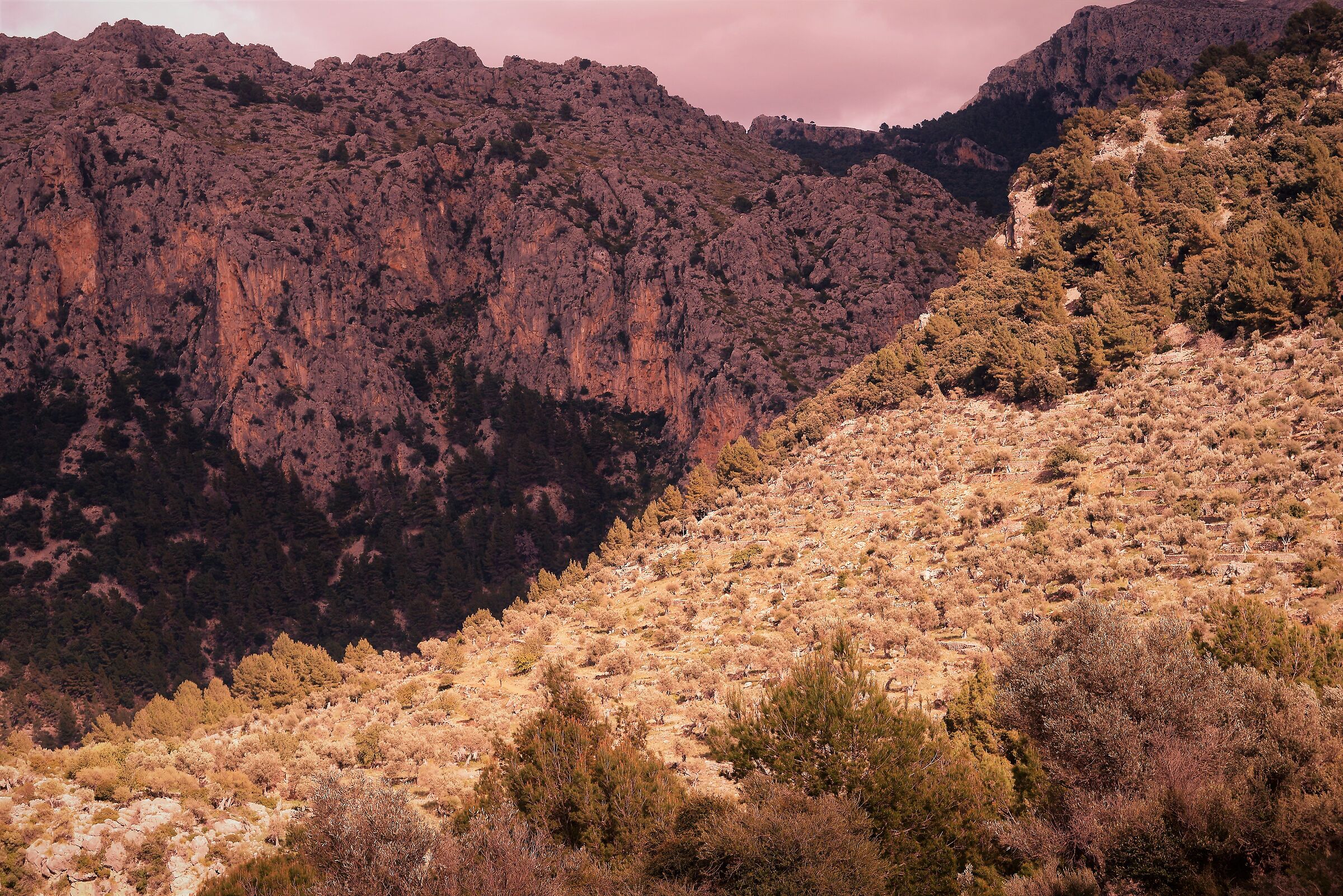 Paesaggio mediterraneo