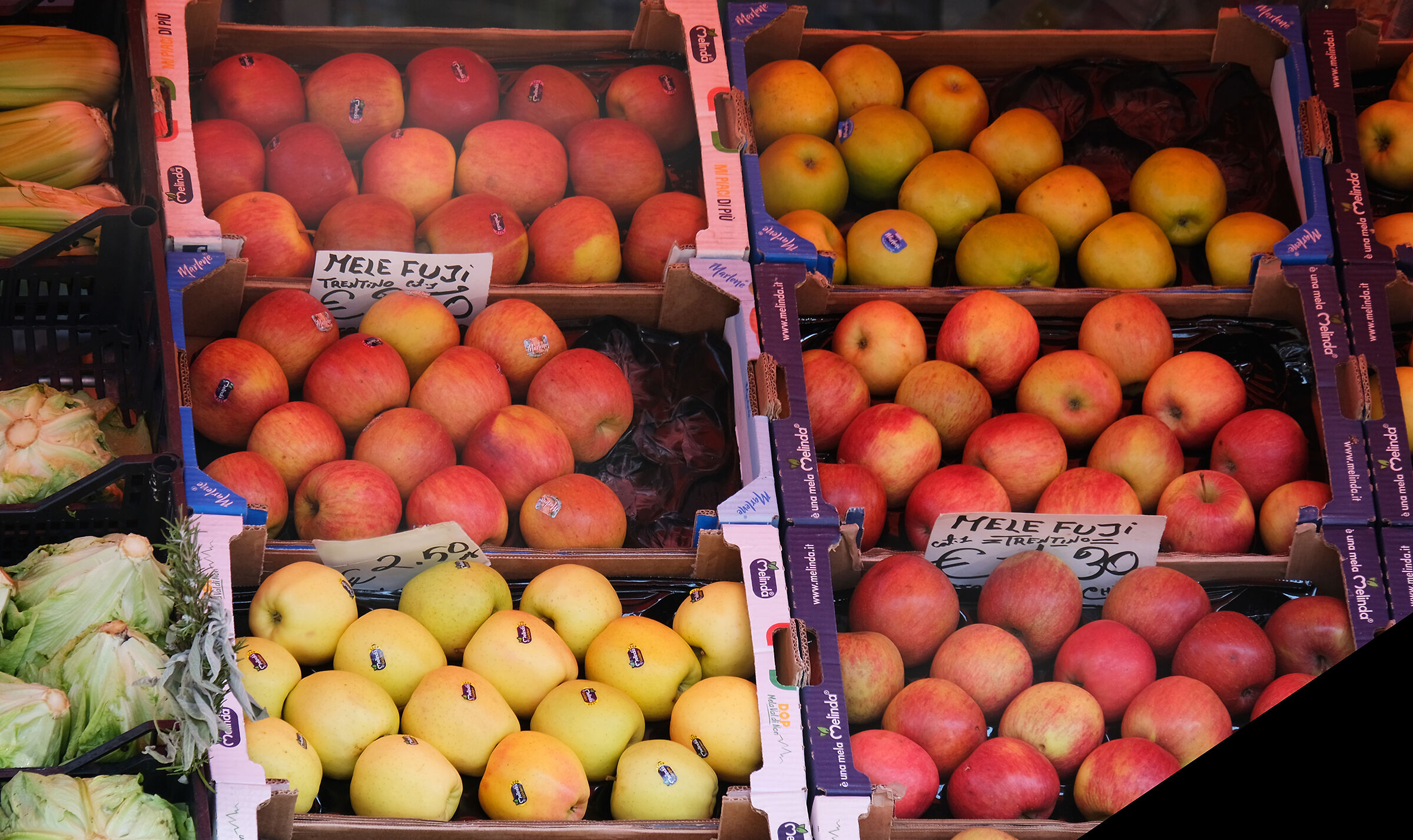 the call of the House