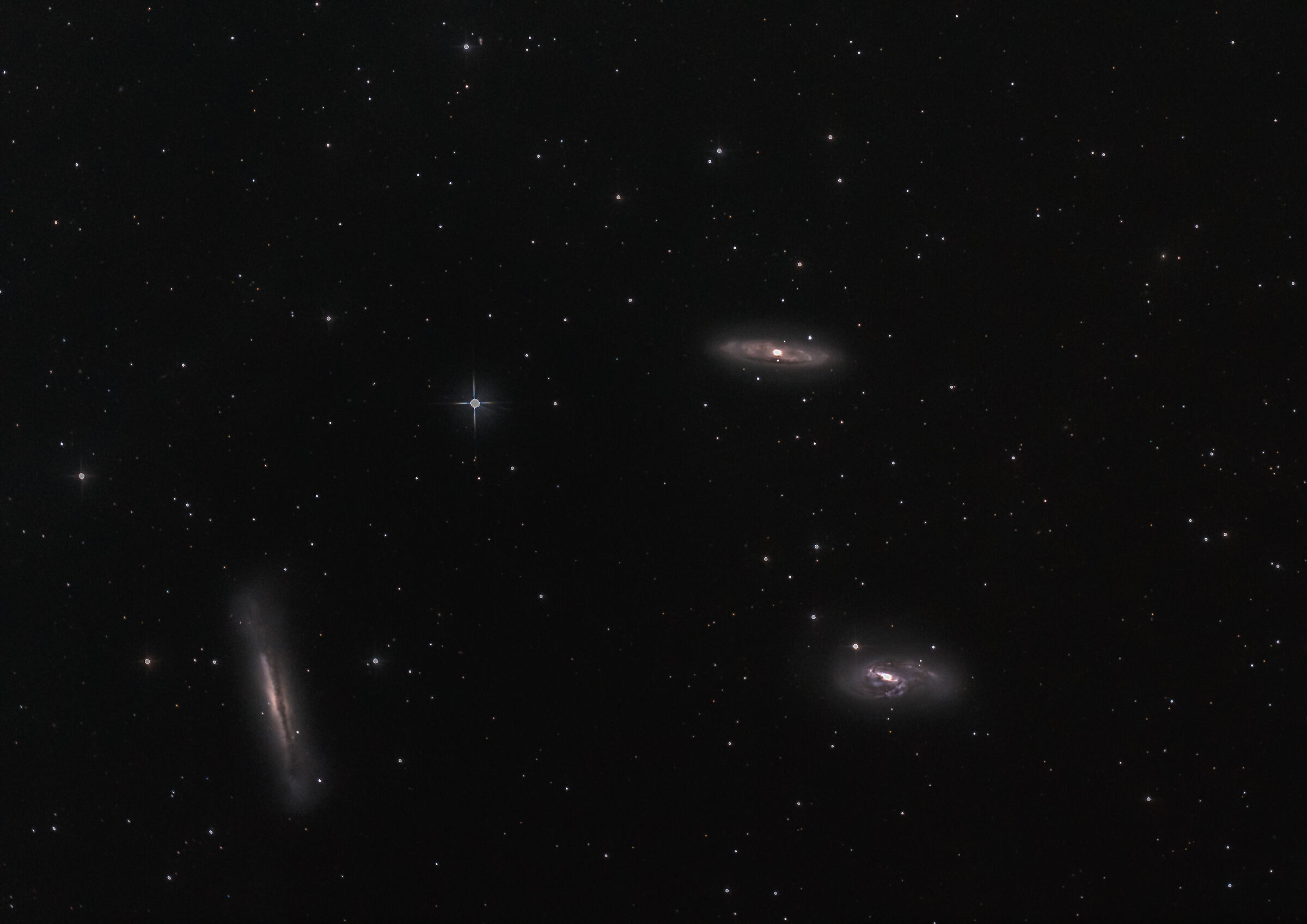 Tripletto del Leone M65 M66 ngc3628