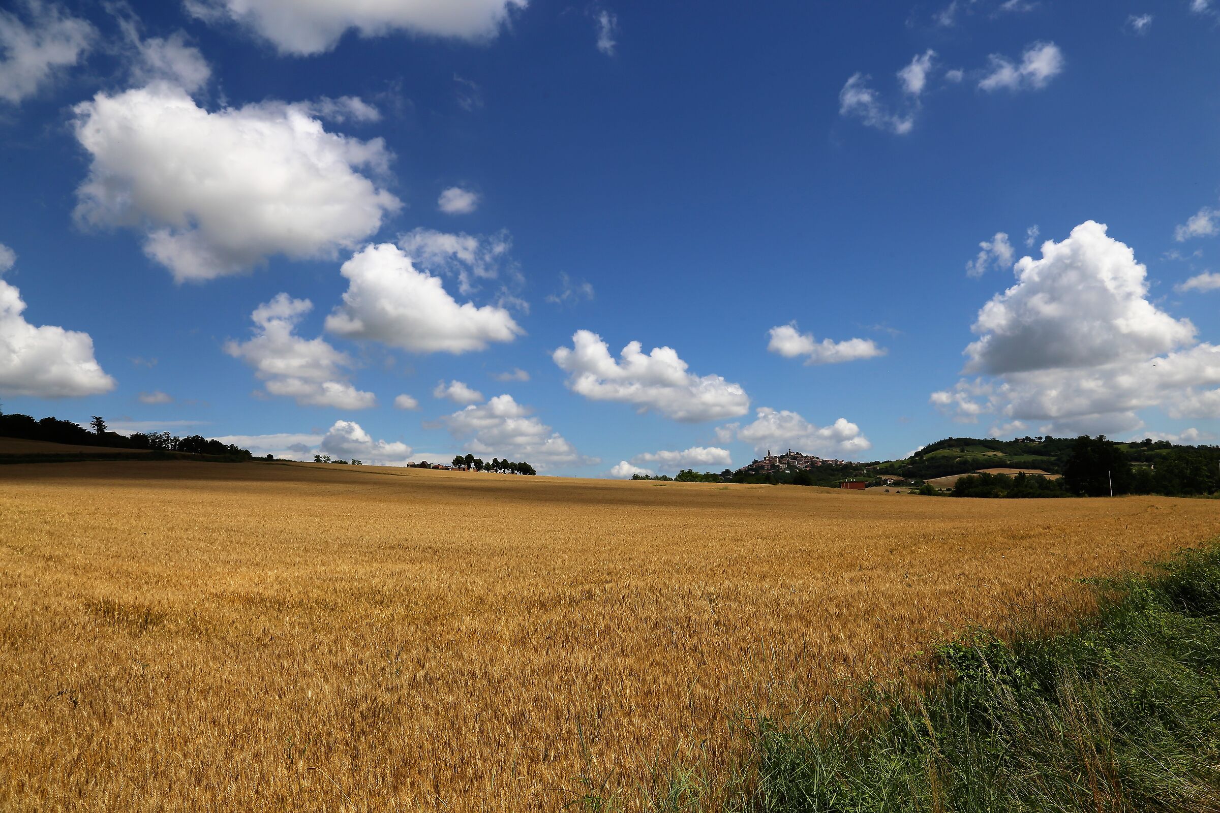 frumento... e nuvole