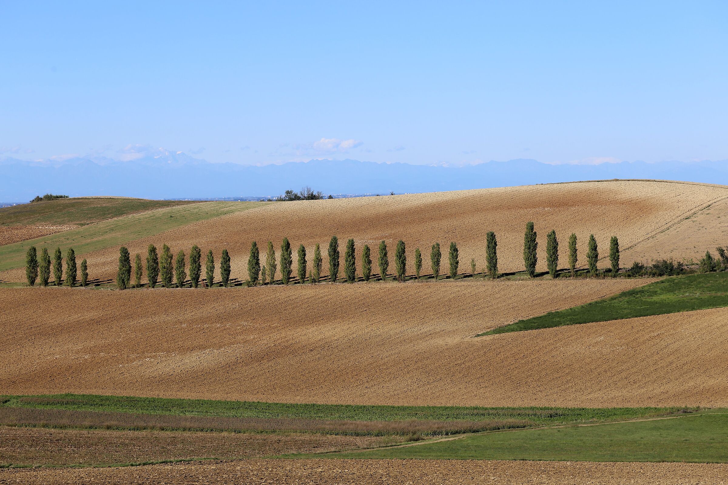 prima dell'autunno..