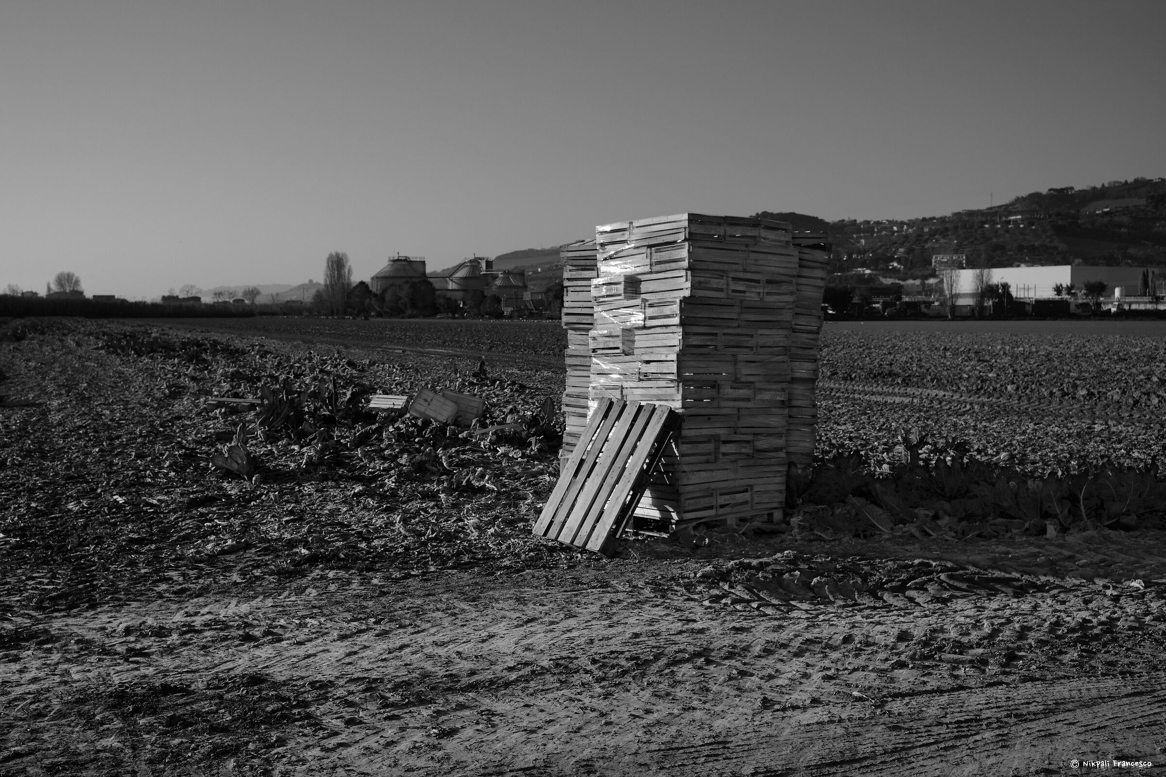 La Sentina