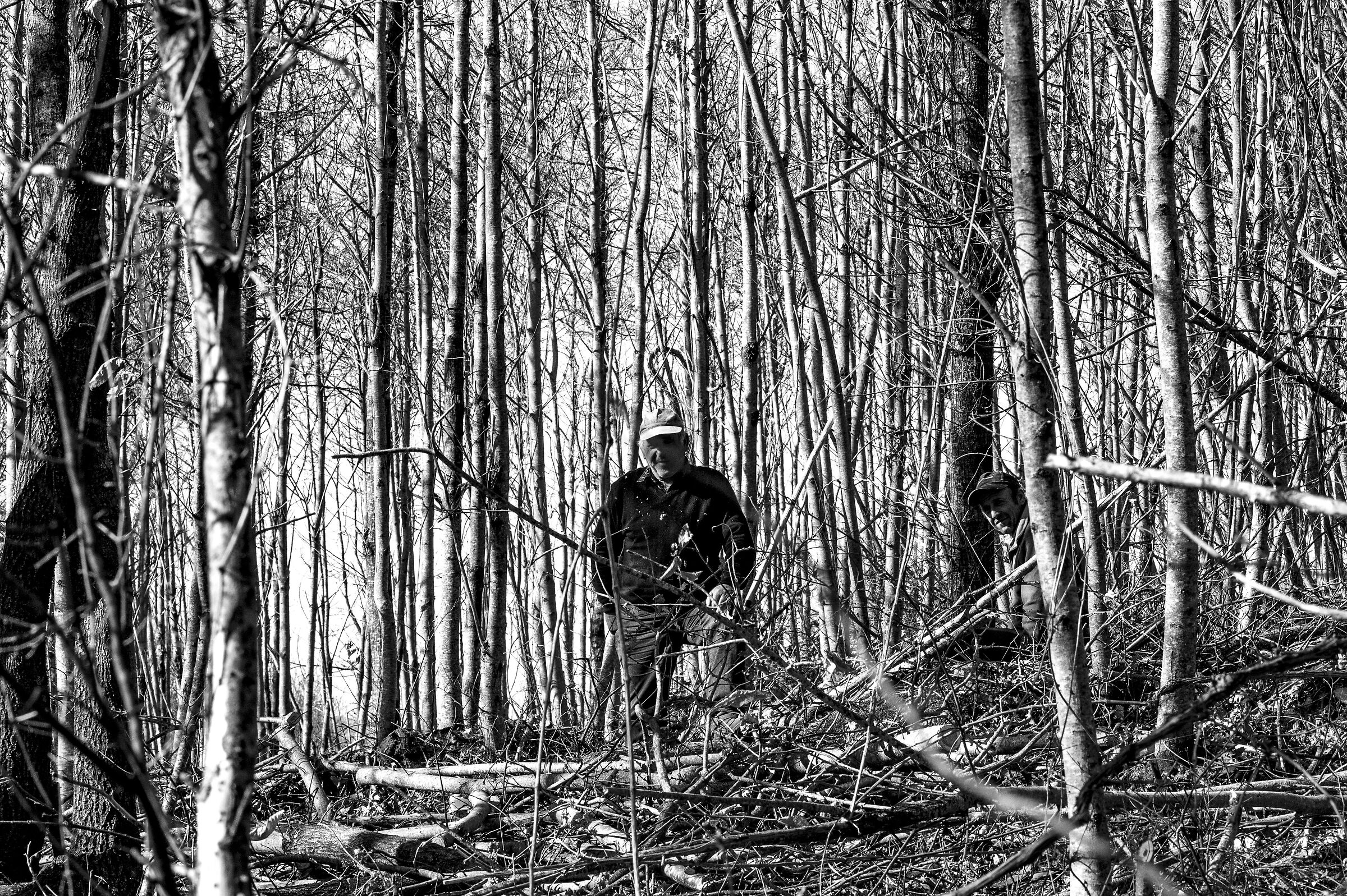 nel bosco nelle discese del downill si trovano ......