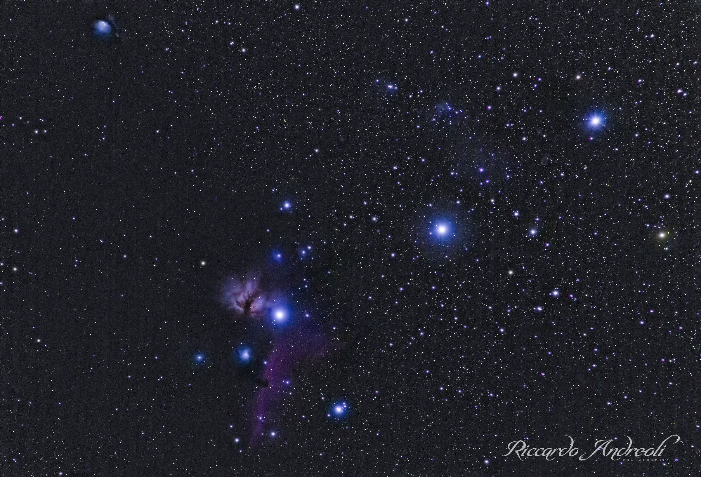 Horsehead nebulae and Flame Nebula - Belt d