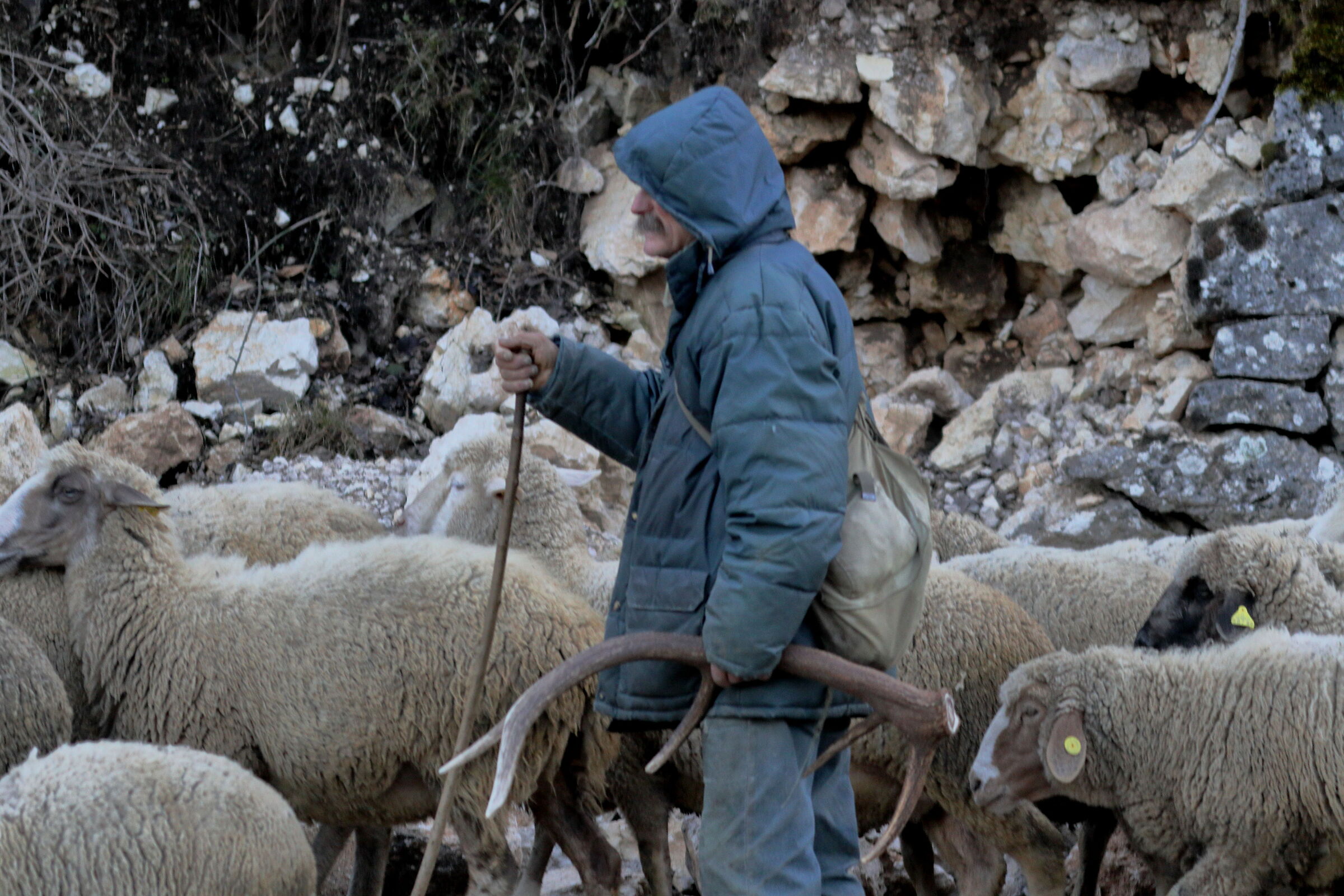 il raccoglitore di trofei