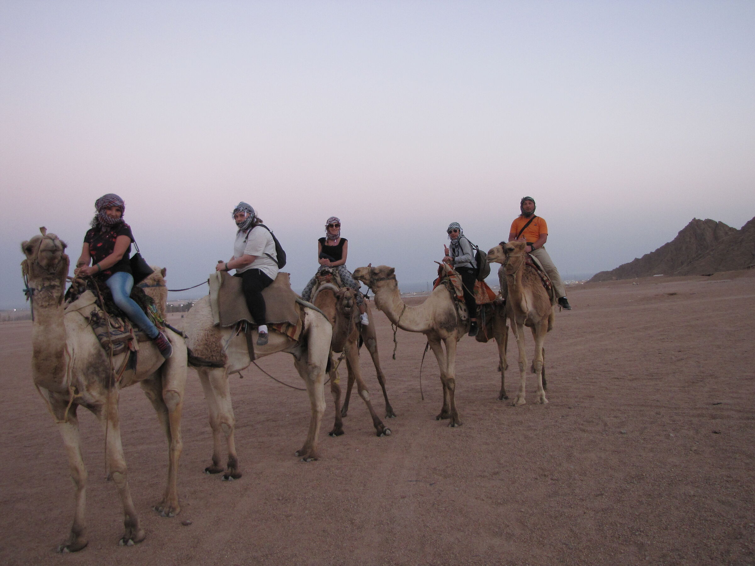 deserto con cammello