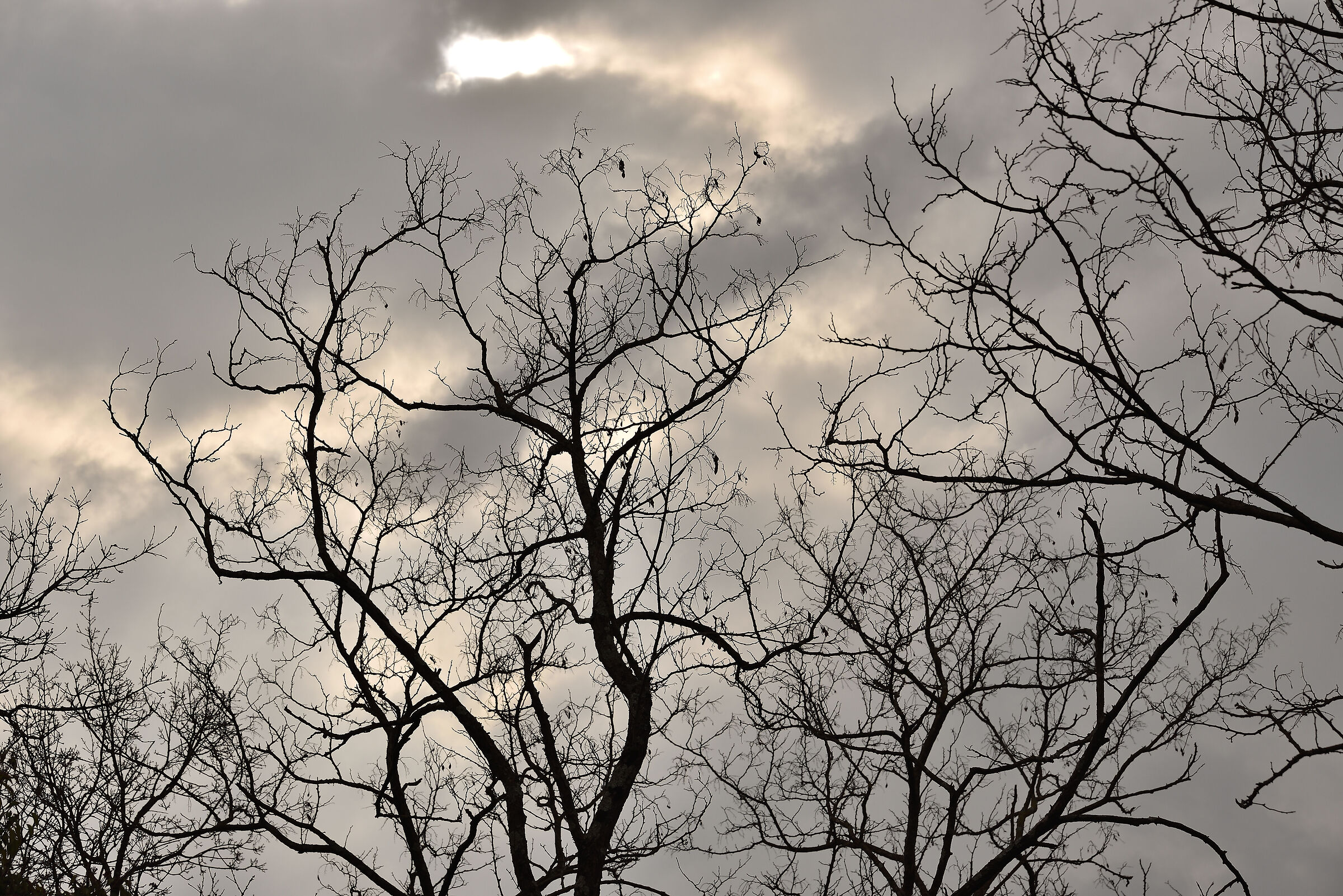 Una giornata di fine inveno in campagna