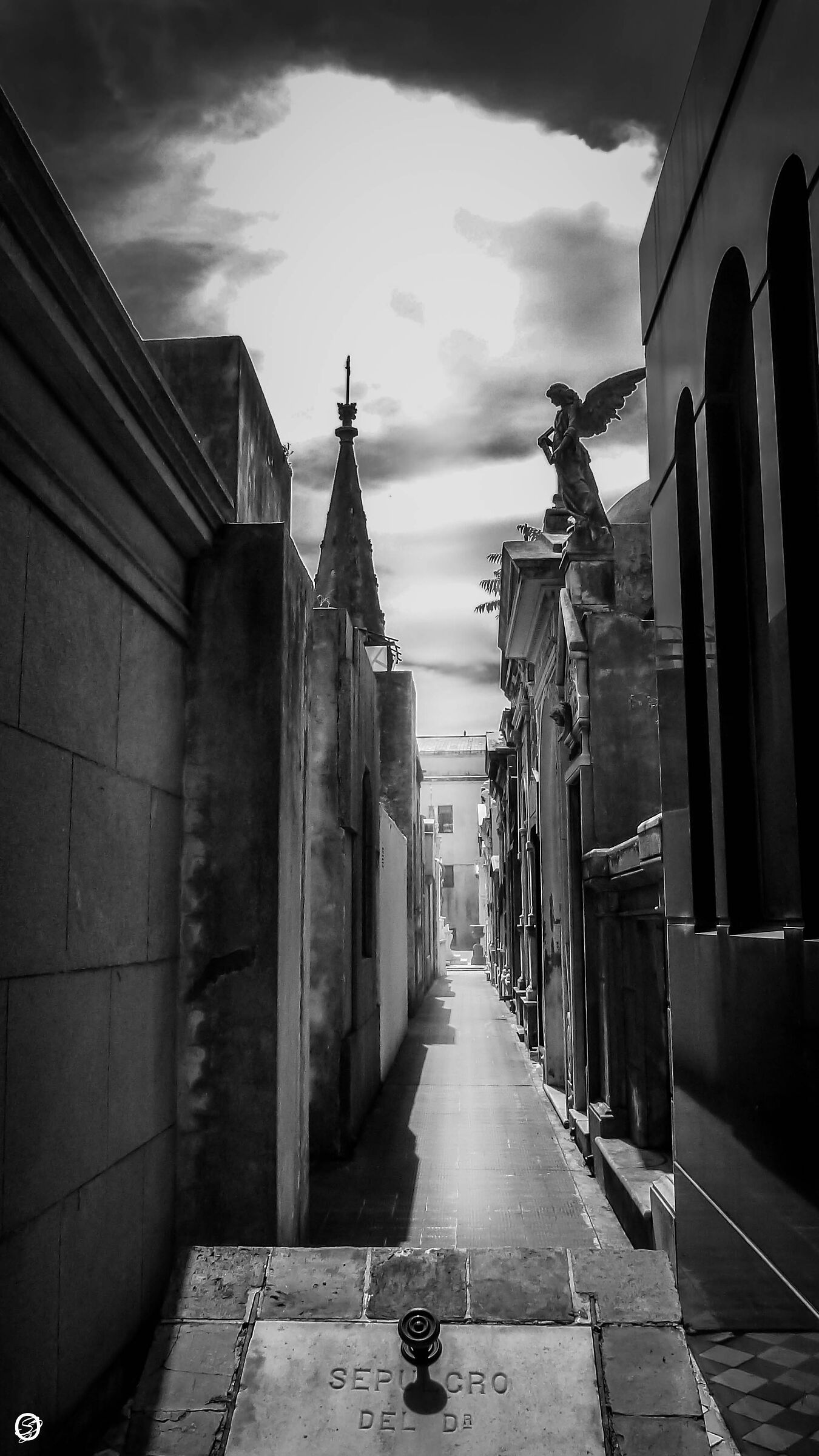 Il viale del Tramonto