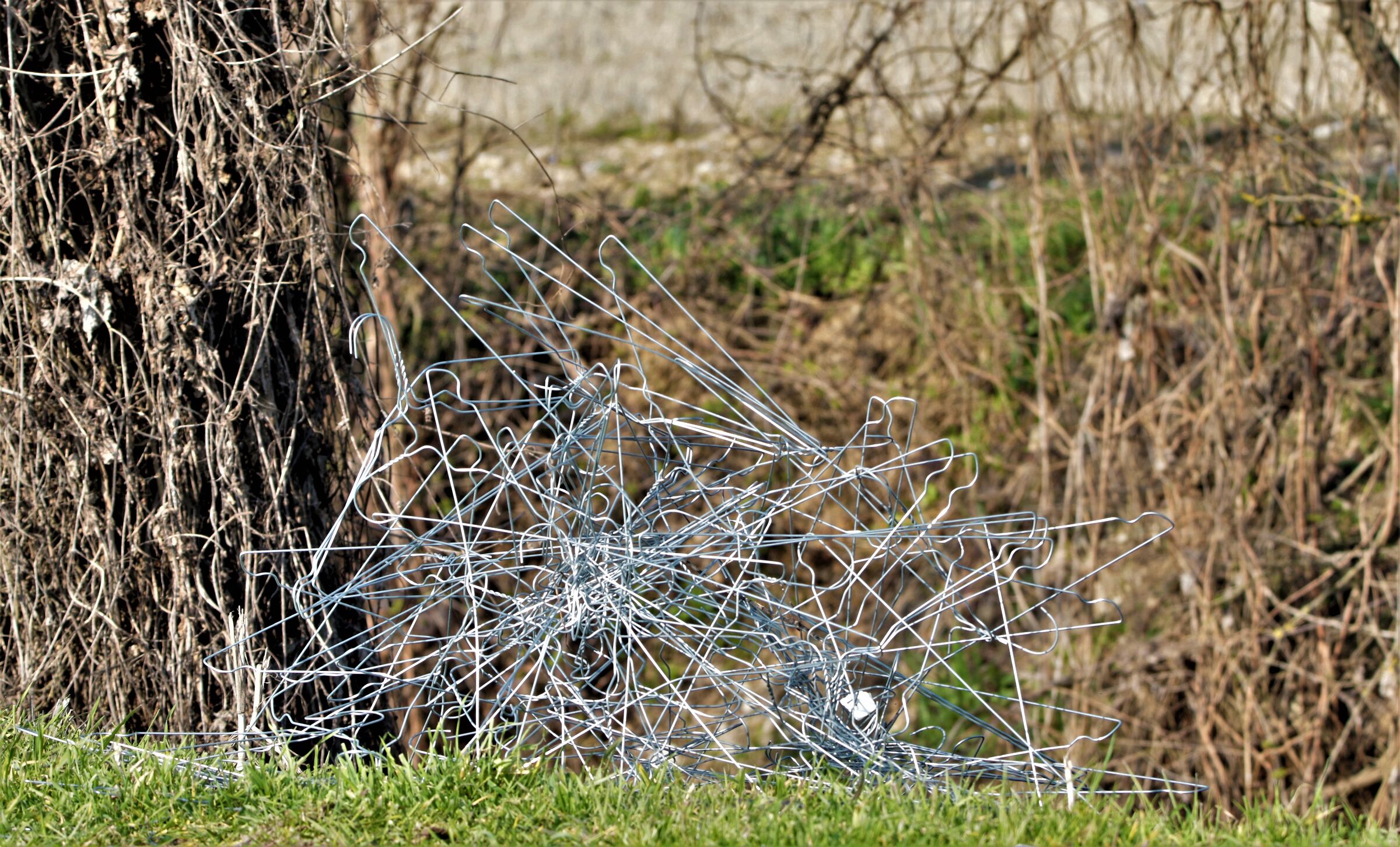"ometti in campagna"