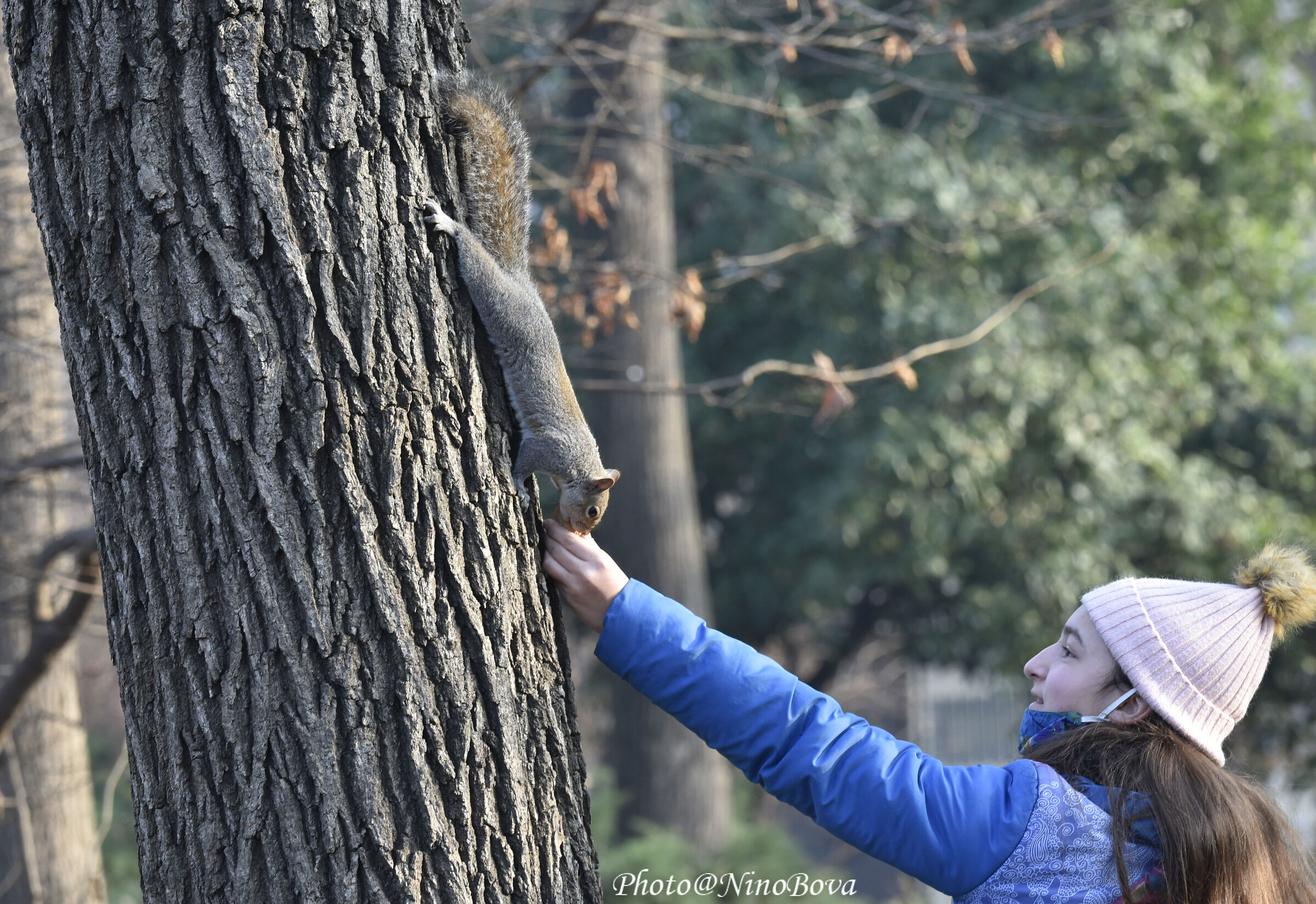play with the squirrel