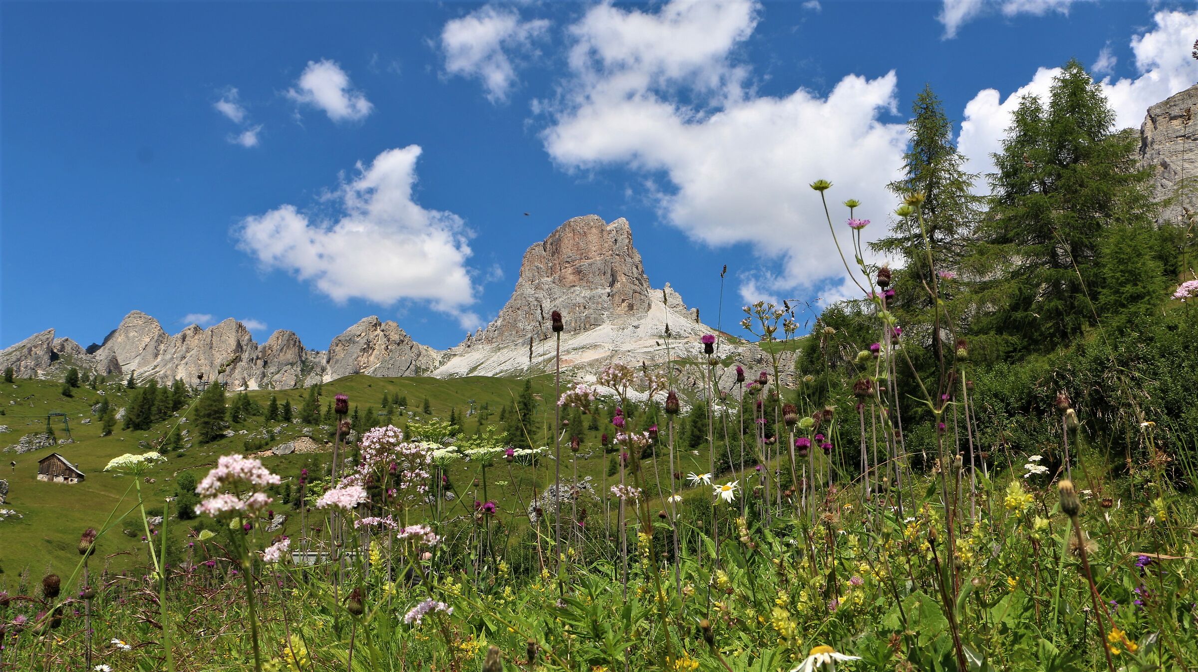 La natura ci regala momenti speciali