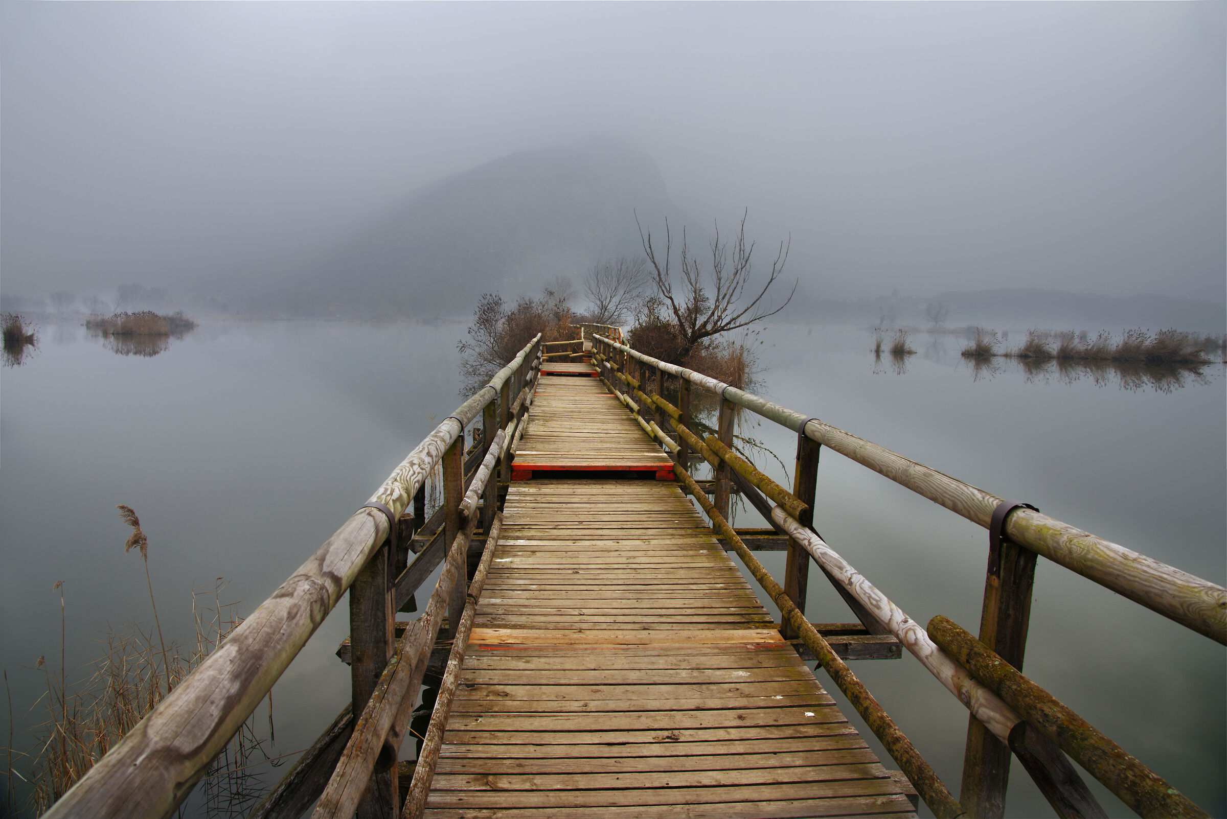 ponte sulla torbiera