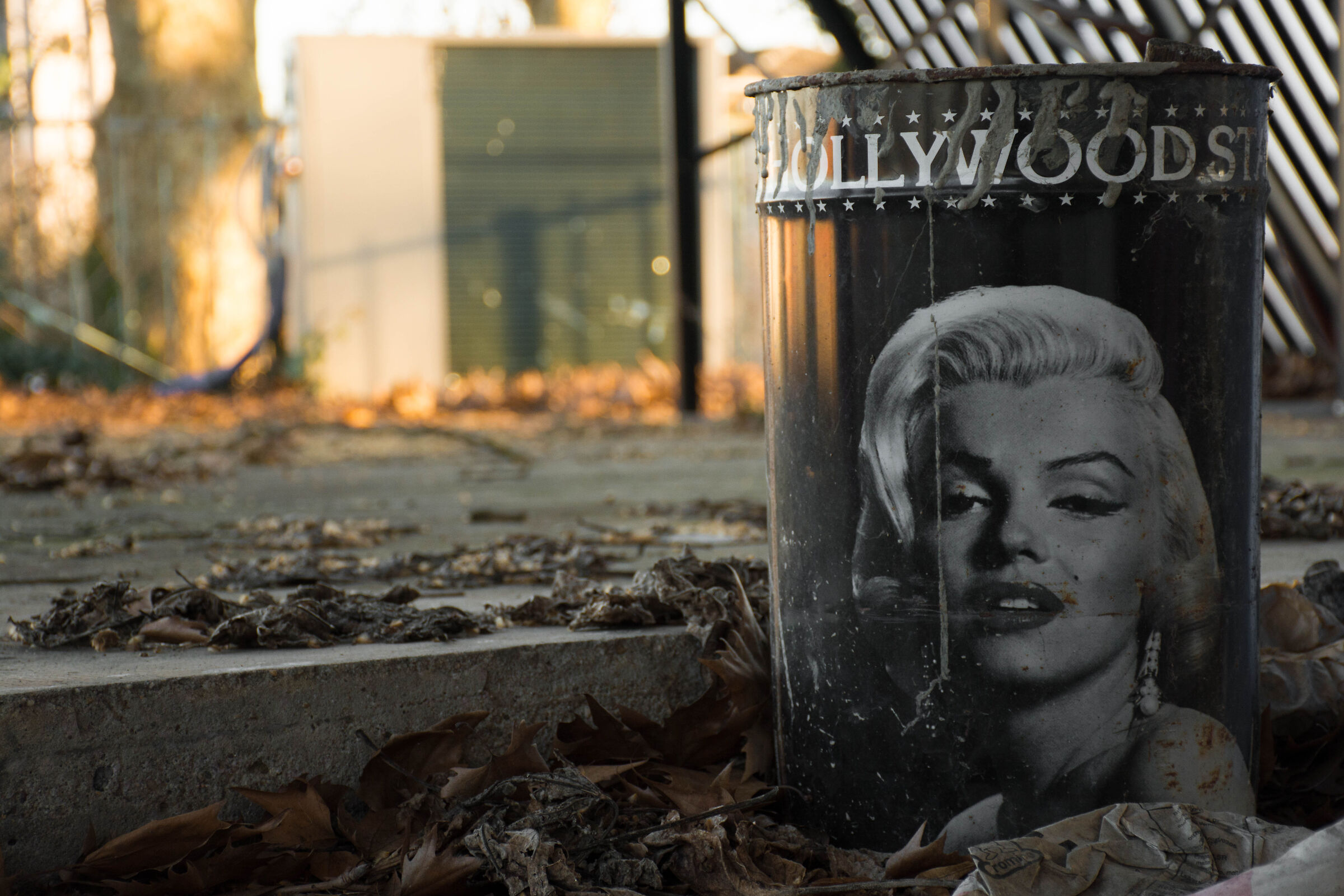 from the stars to the stables