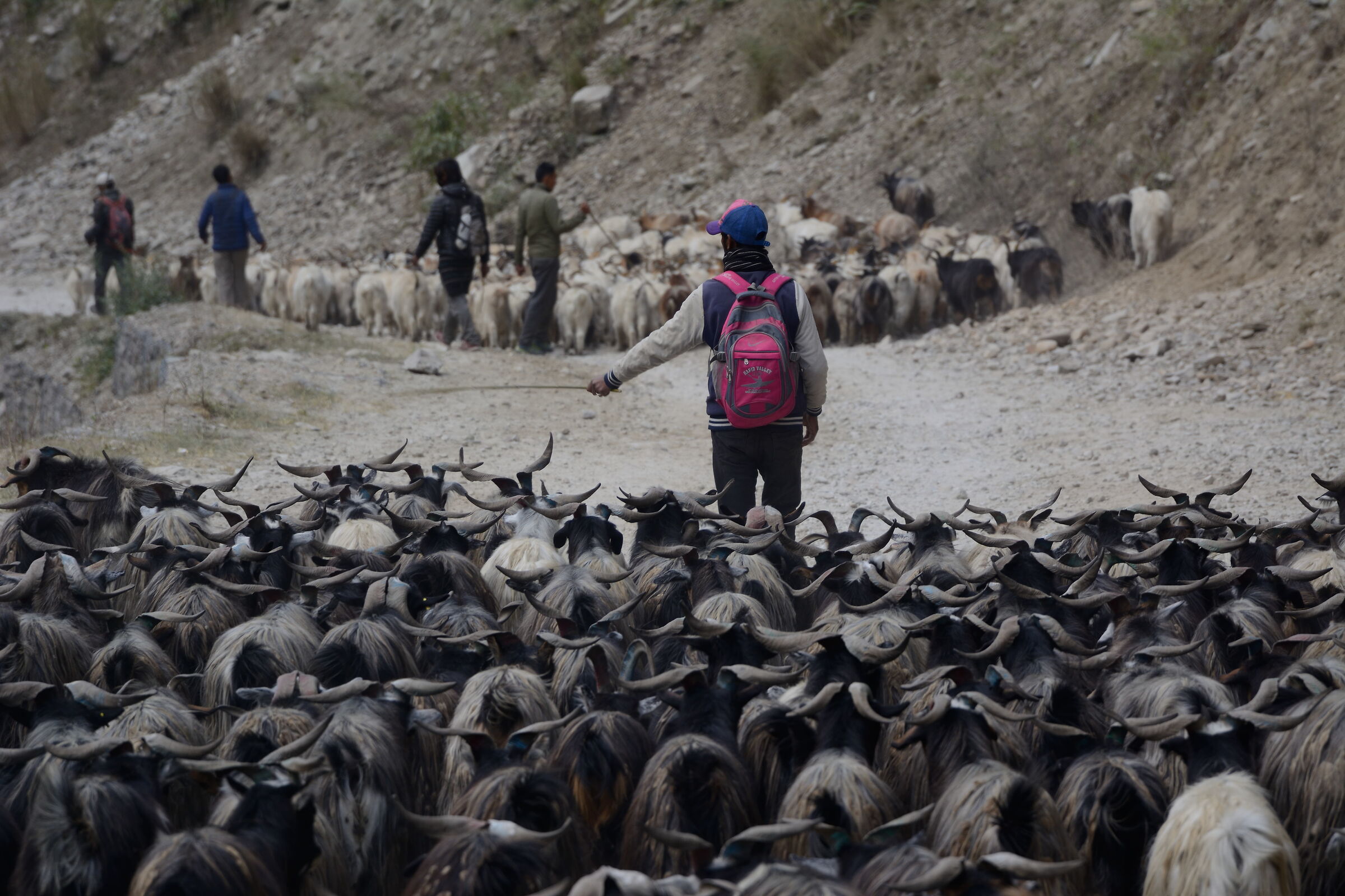 Manaslu trekking