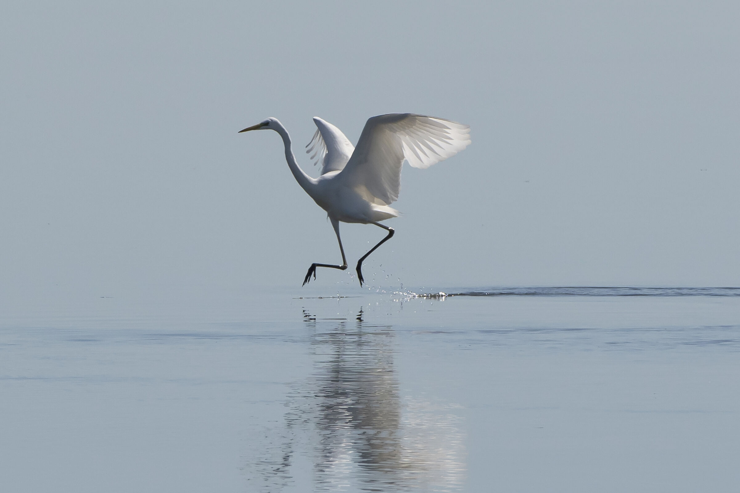 Saltellando sull'acqua