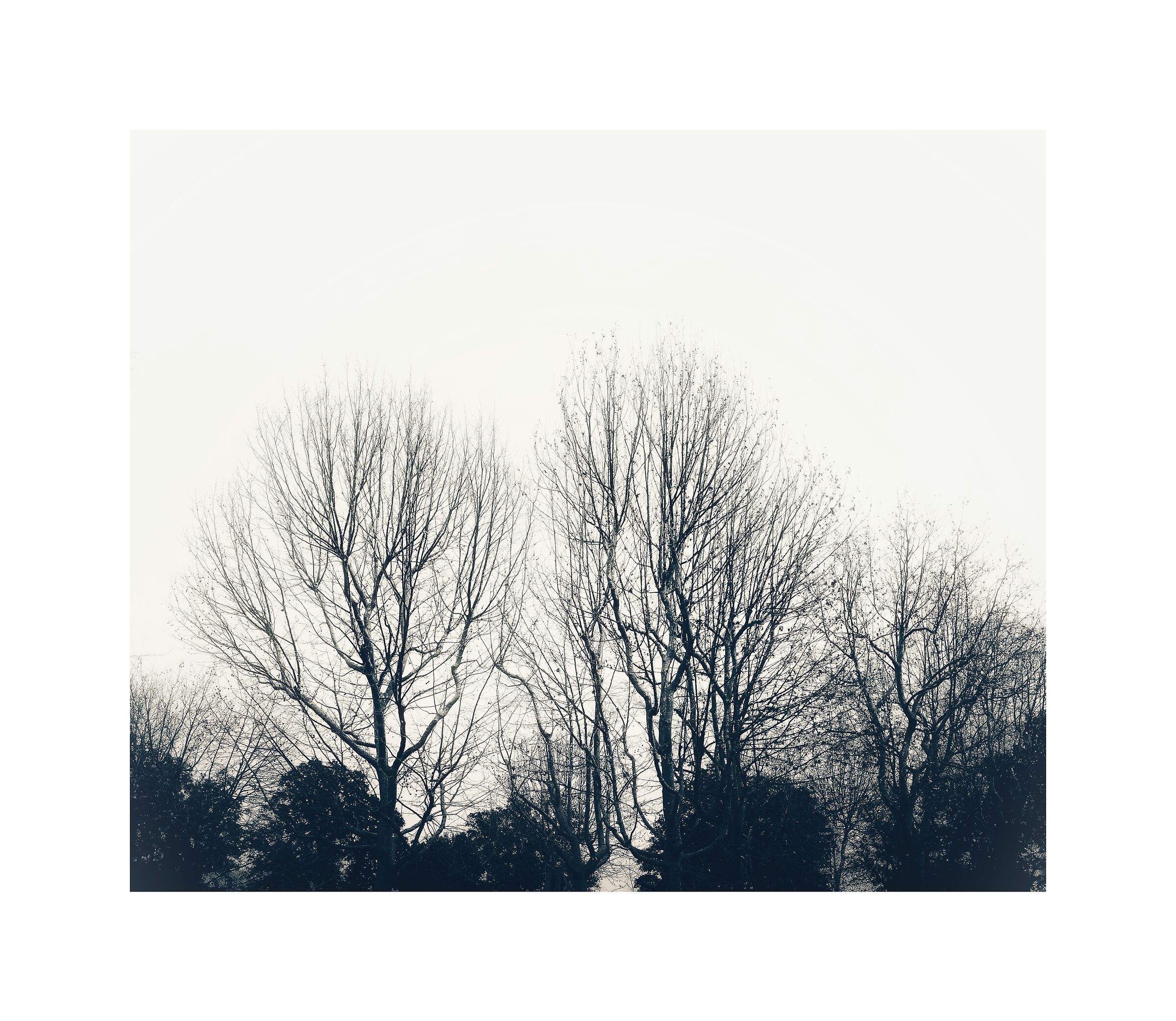 The first days of spring