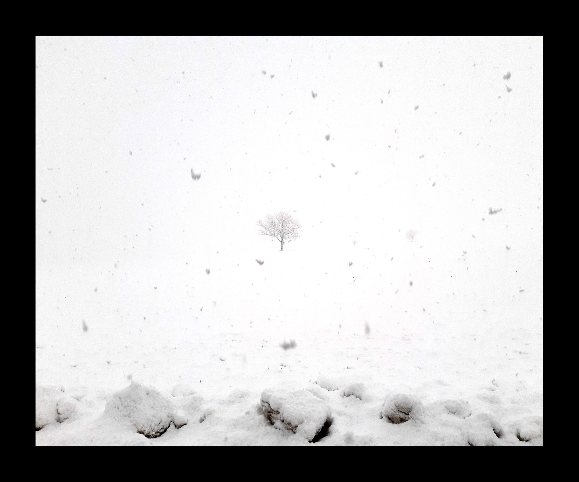 in mezzo alla bufera