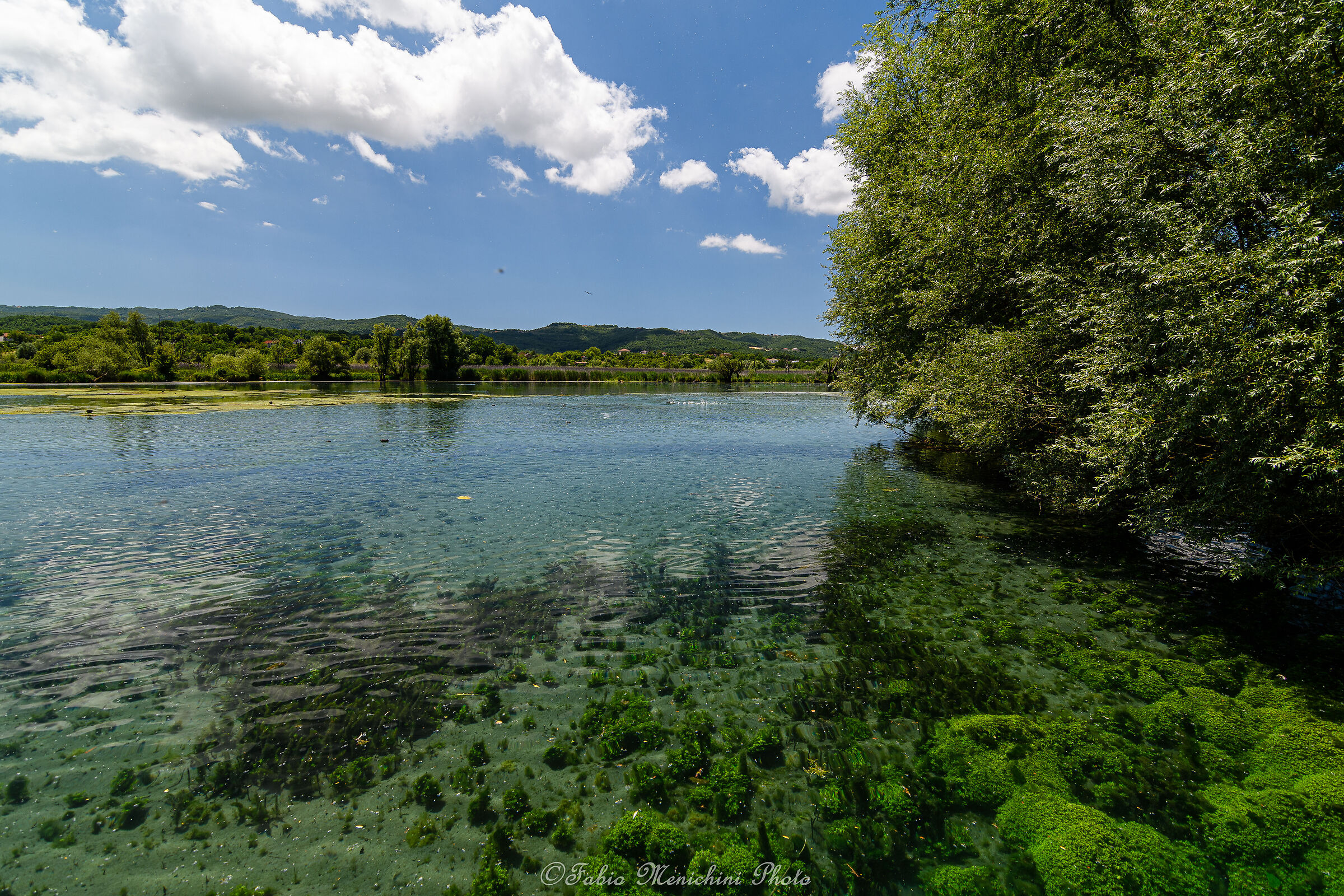 trasparenze-5