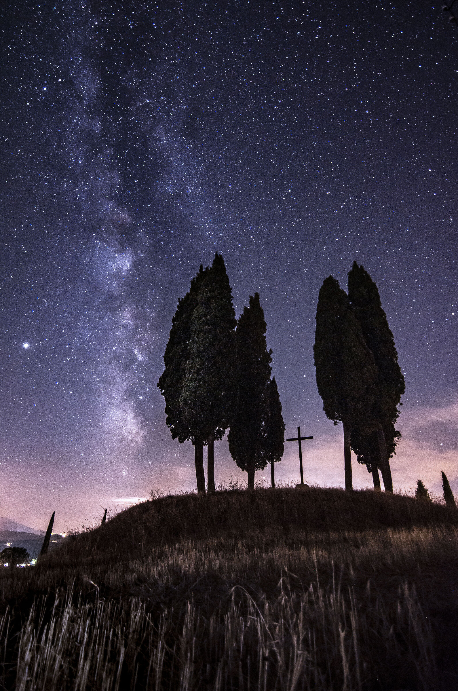 I cipressi di San Quirico