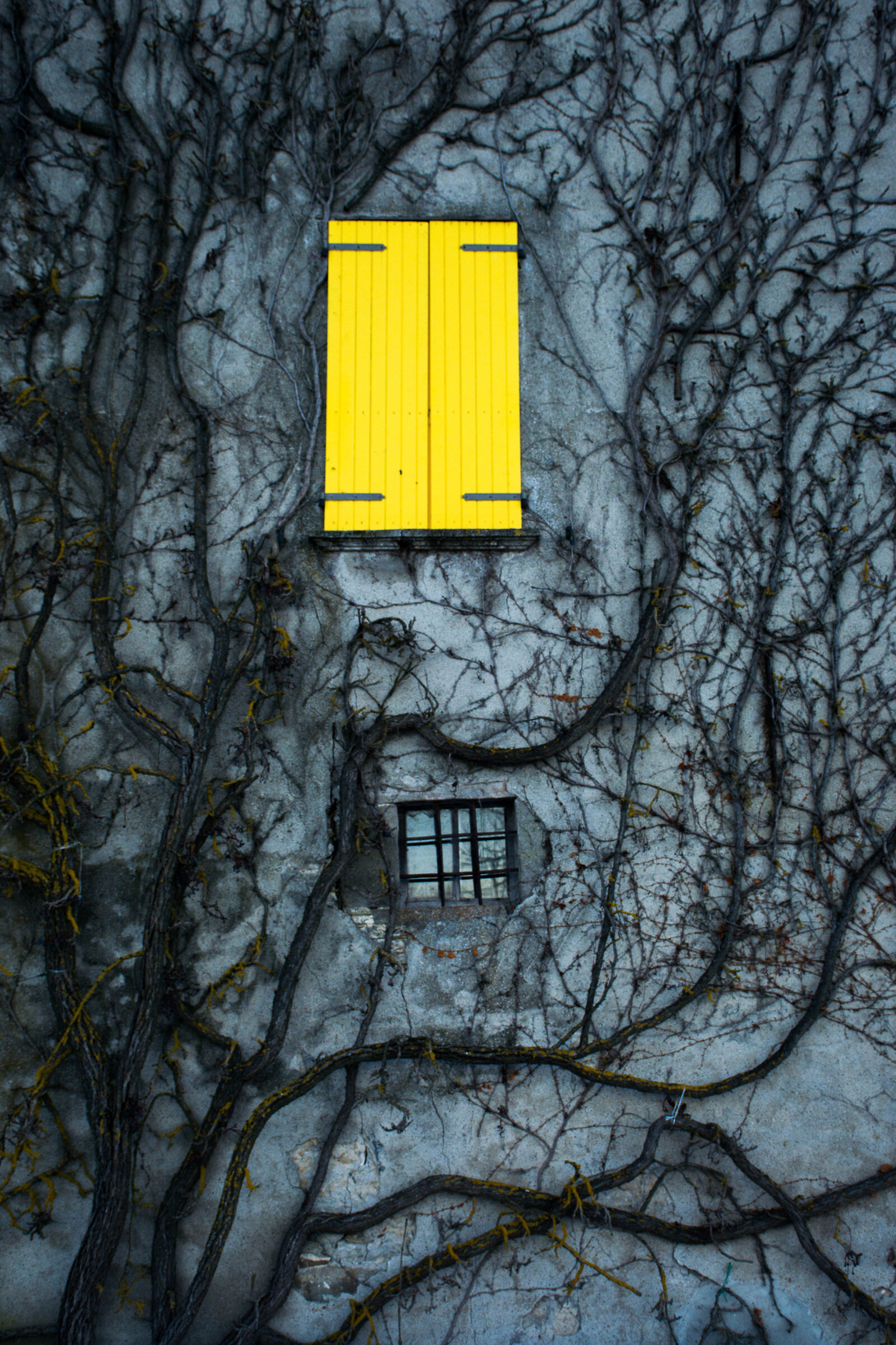 Benvenuti nel Sottosopra!