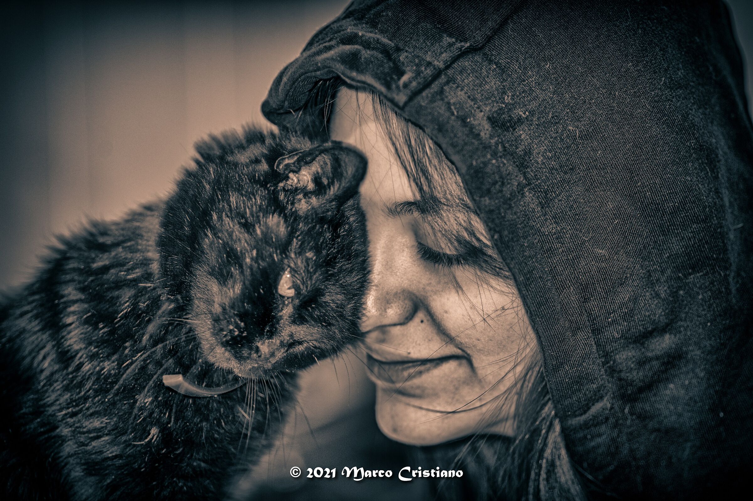 The two cats at home..