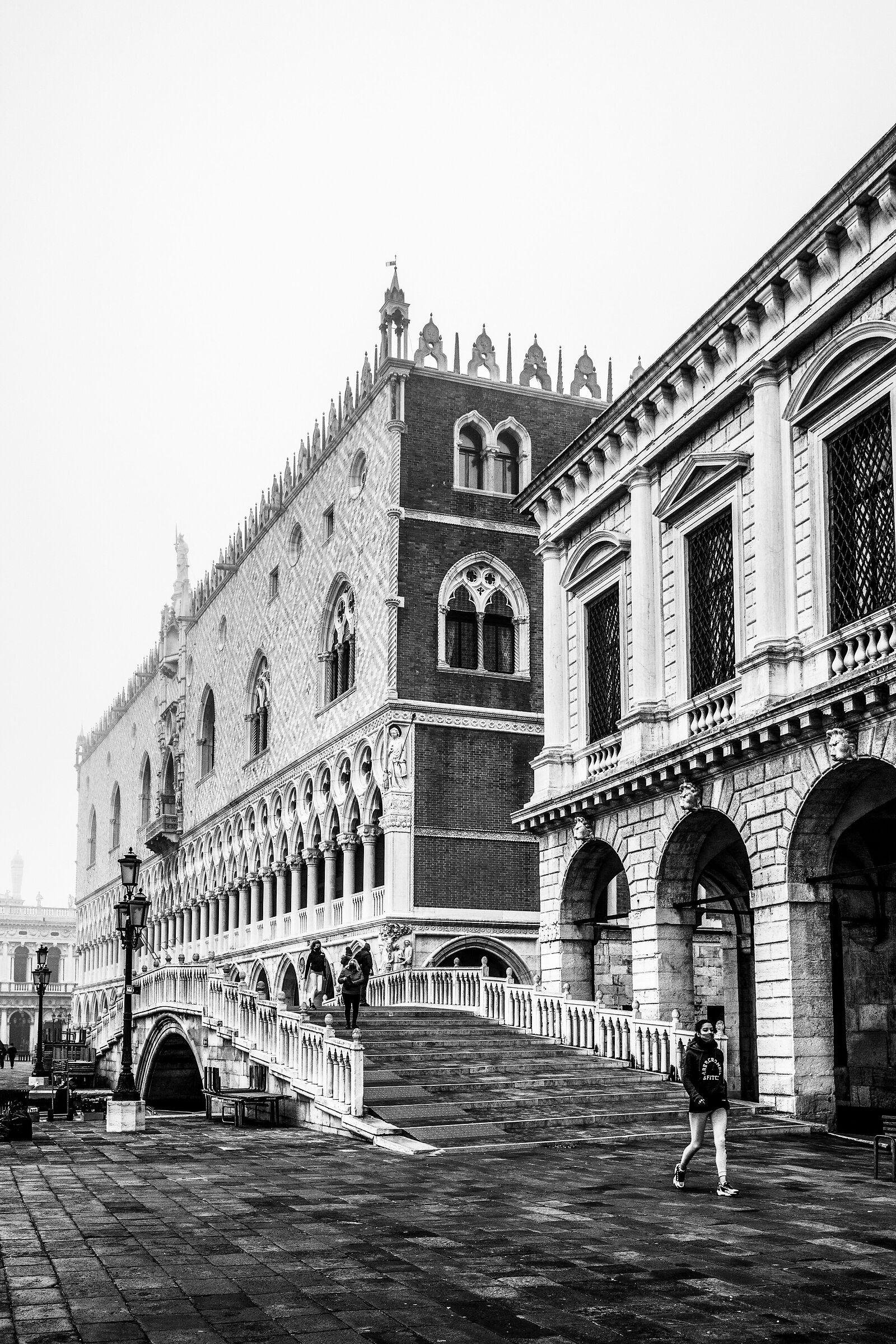 Un giorno di nebbia ......