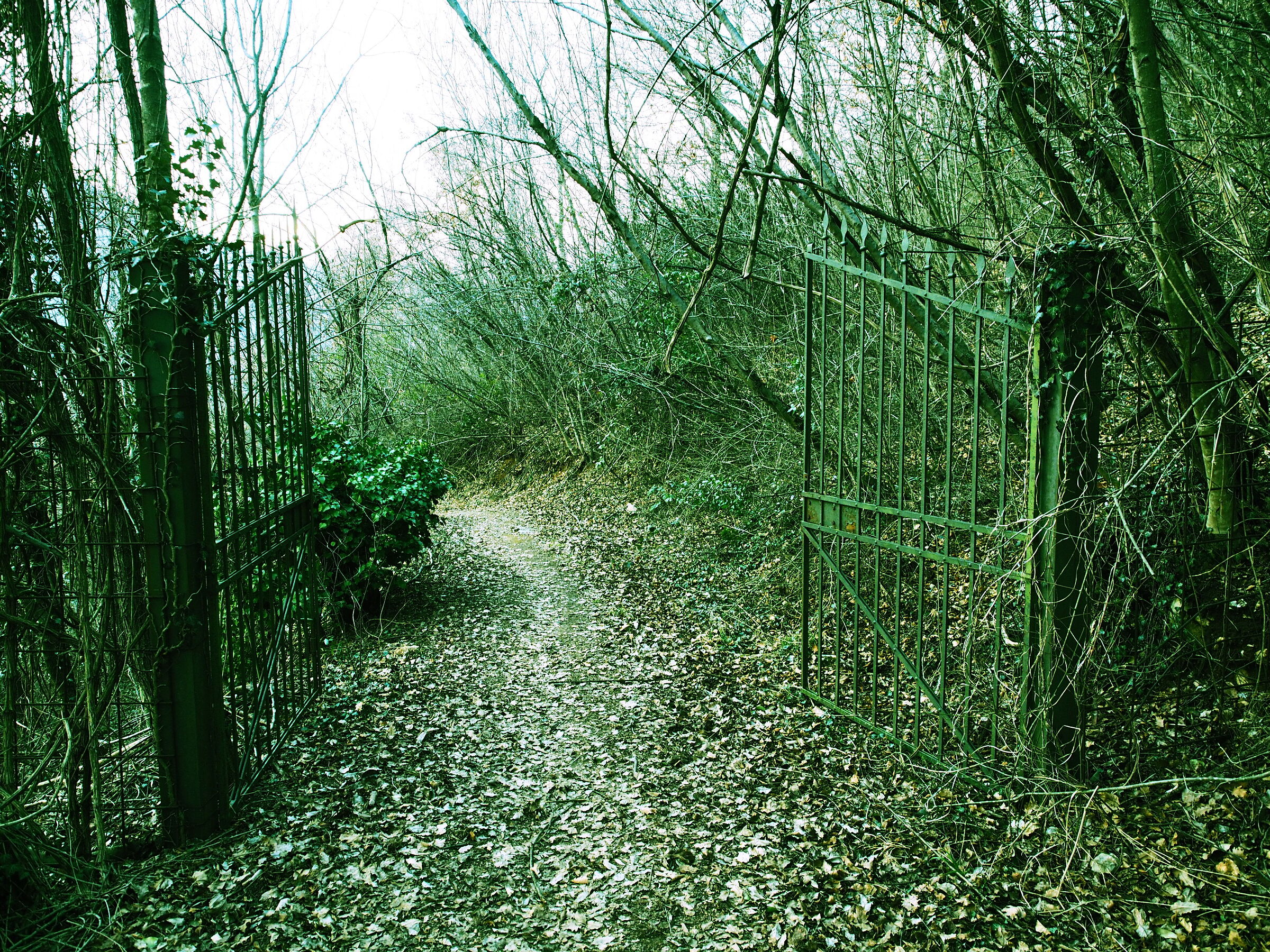 For the Garden of Secrets