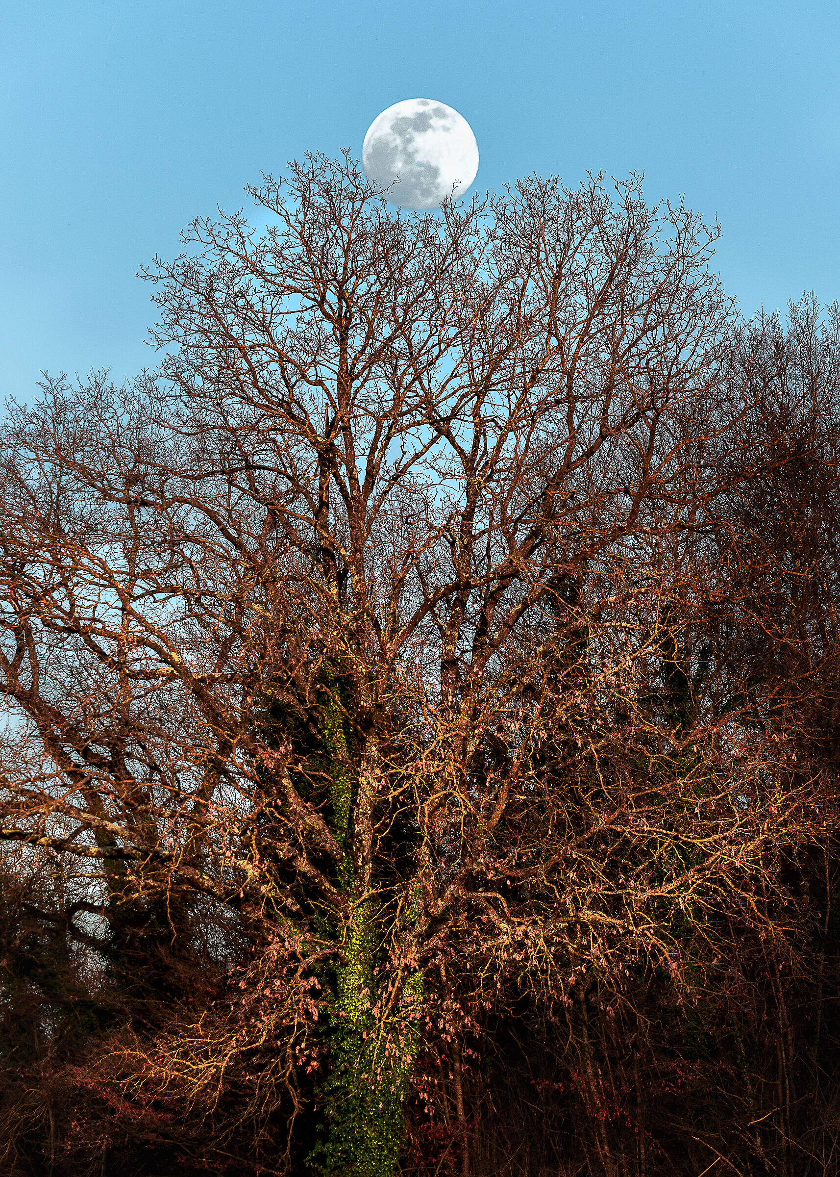 sfumature della campagna umbra val di chiana bassa