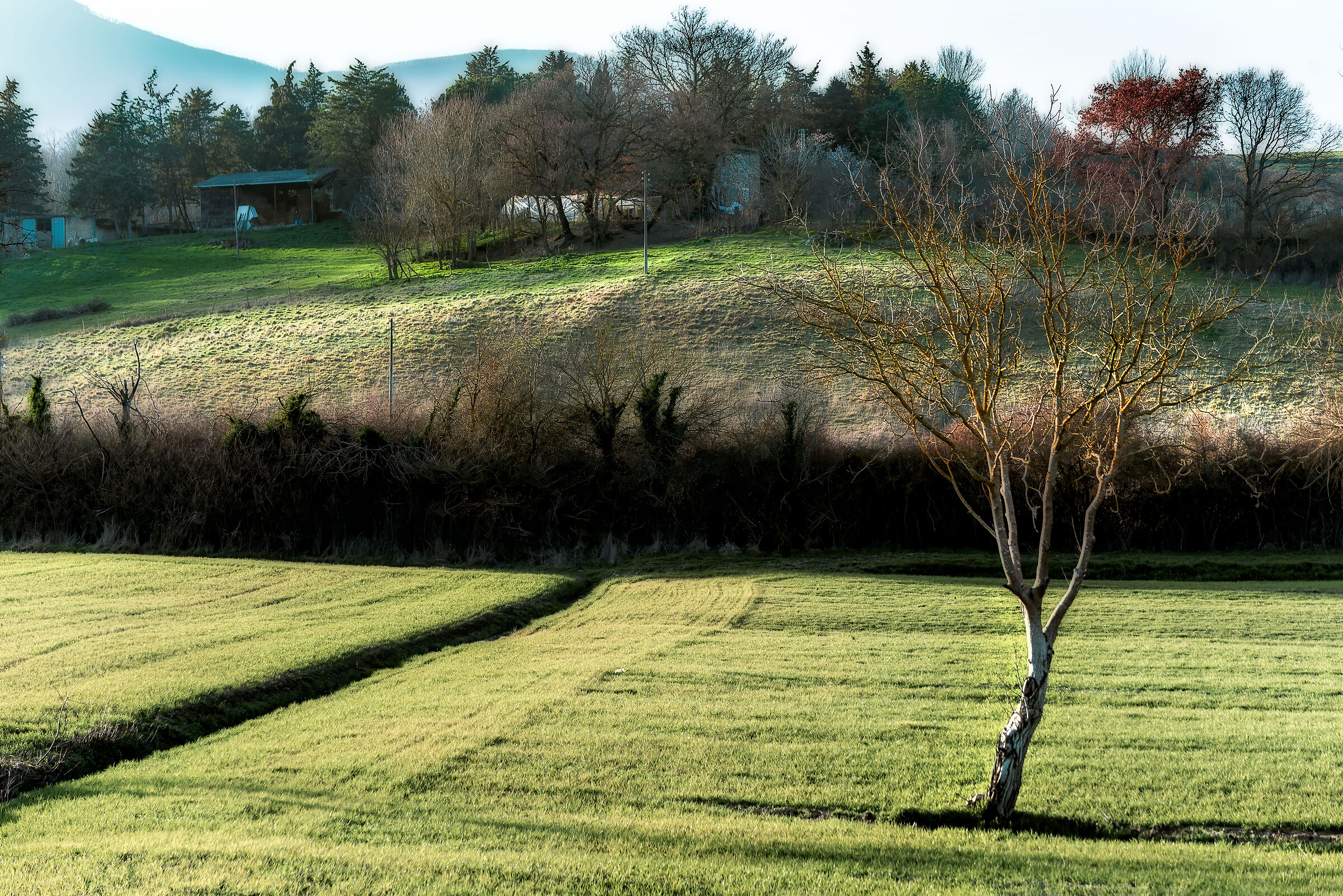 paesaggio  valdichiana meridionale