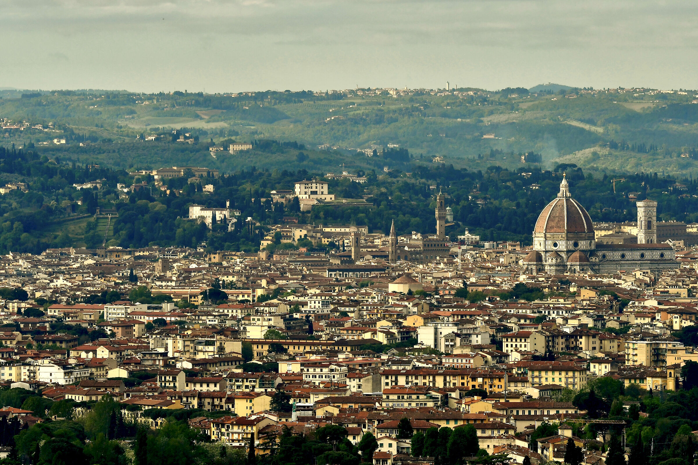 Firenze dall'alto
