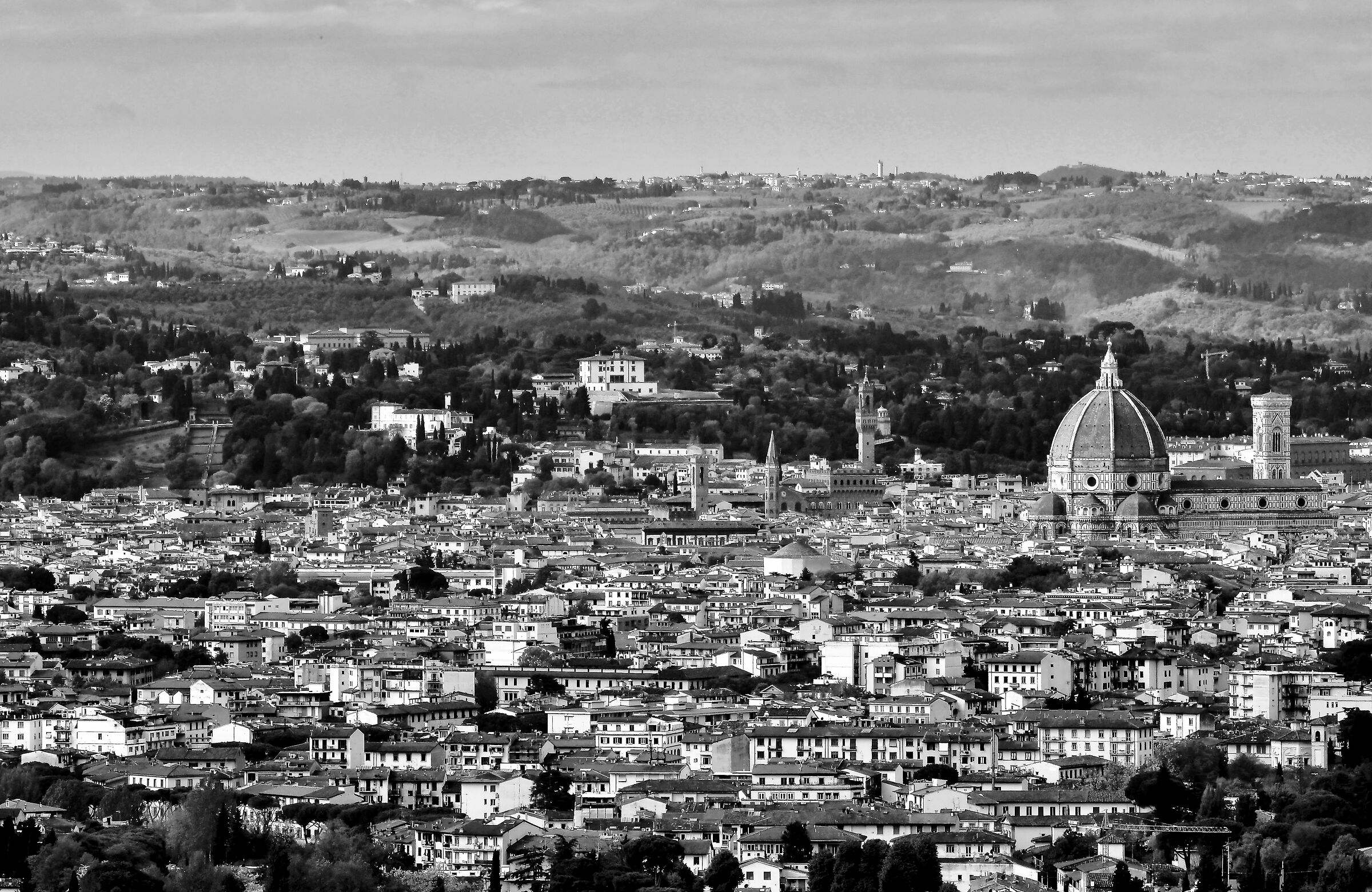 Florence from above b/n