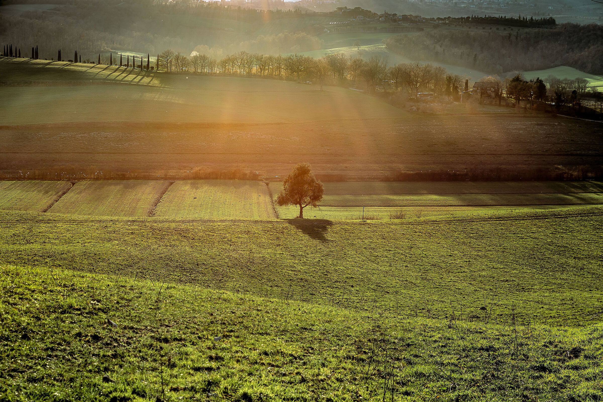 paesaggio  valdichiana meridionale al tramonto