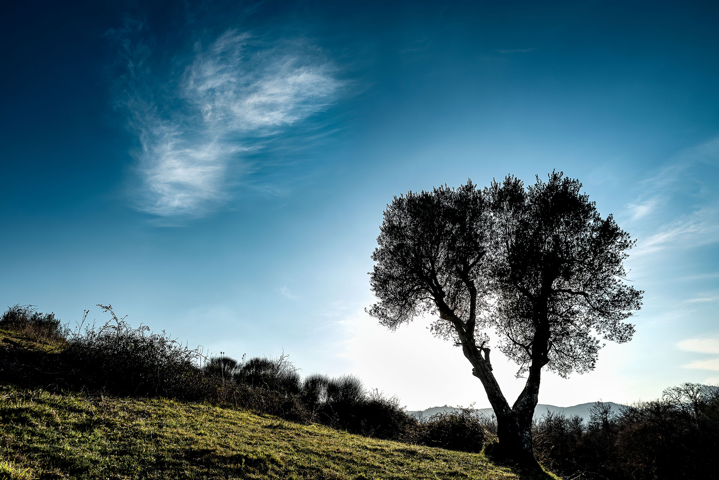 paesaggio  valdichiana meridionale