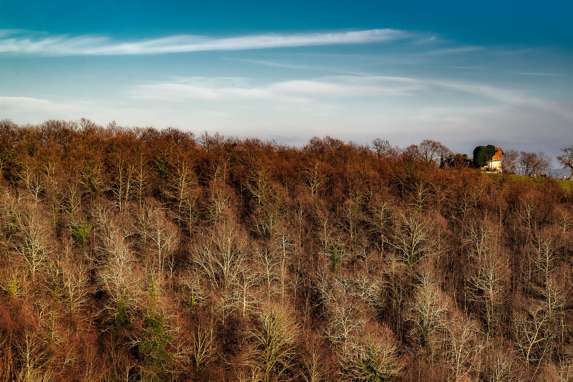 valdichiana meridionale