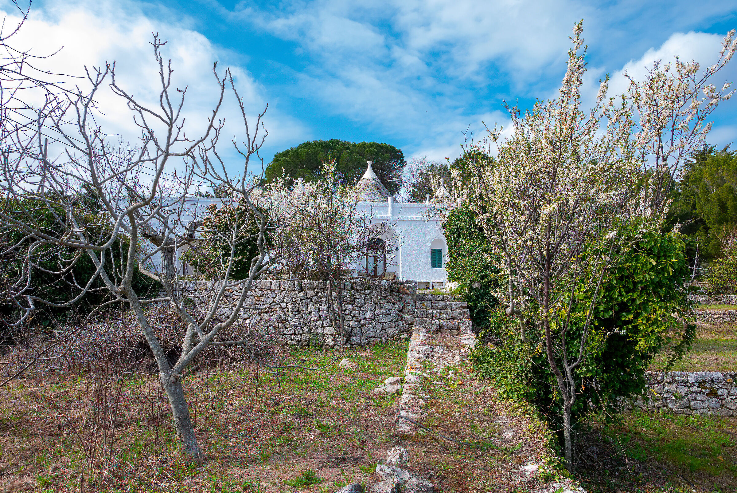 pronti per la primavera