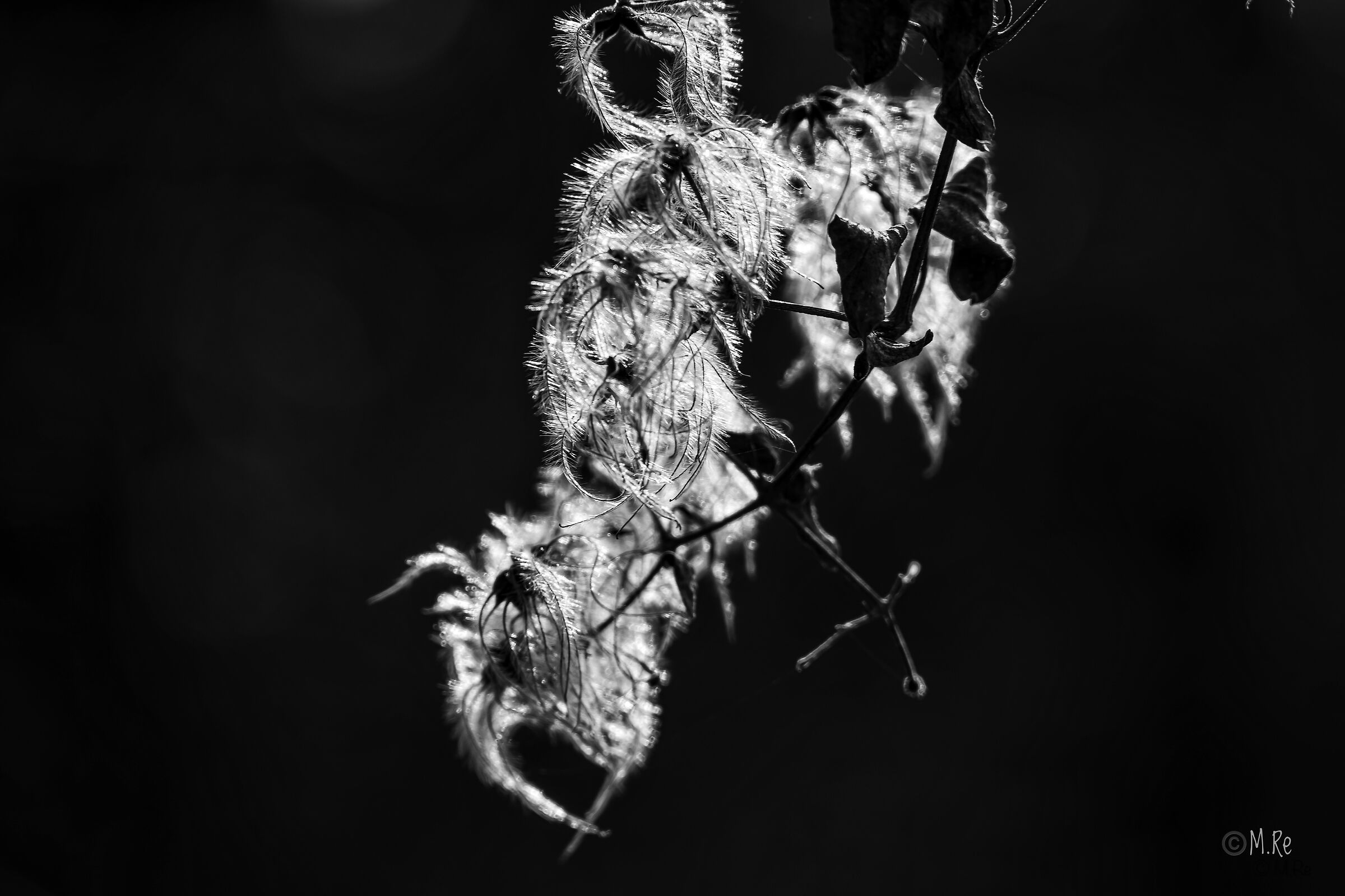 Untitled Photo